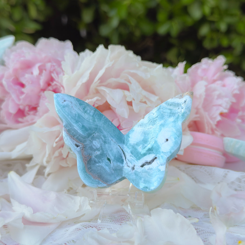 Blue Aragonite Butterfly (Choose Your Own)