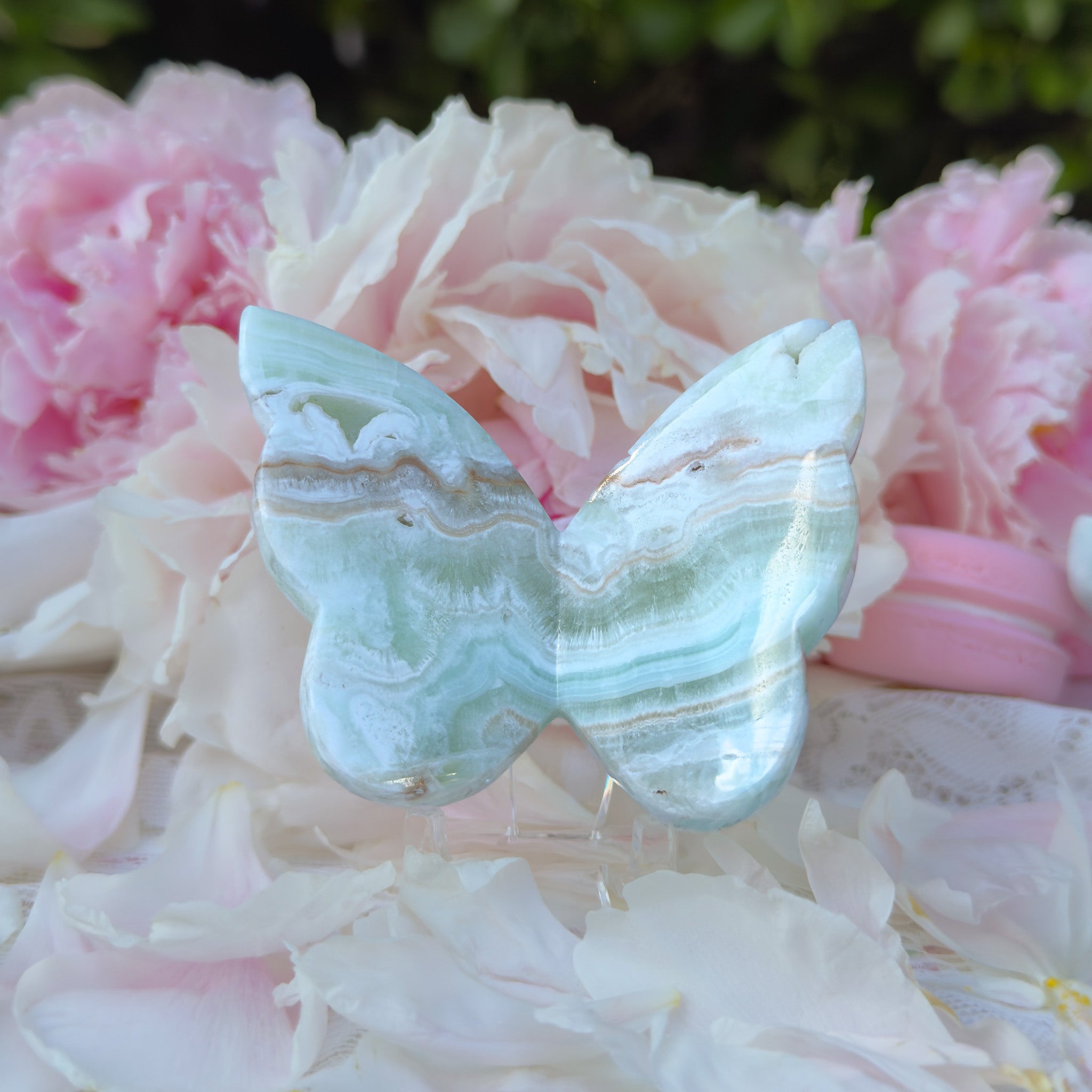Caribbean Calcite Butterfly (Choose Your Own)