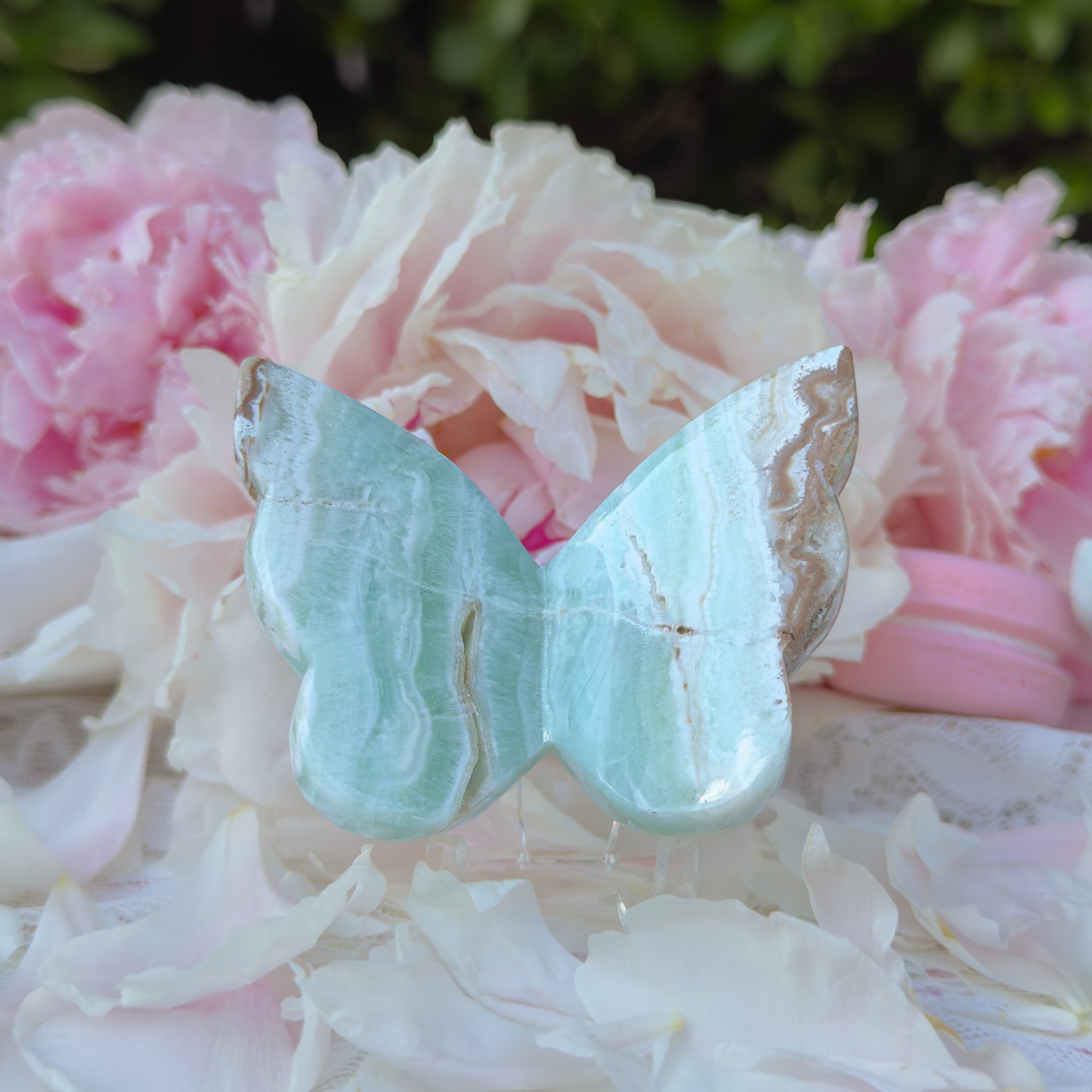 Caribbean Calcite Butterfly (Choose Your Own)