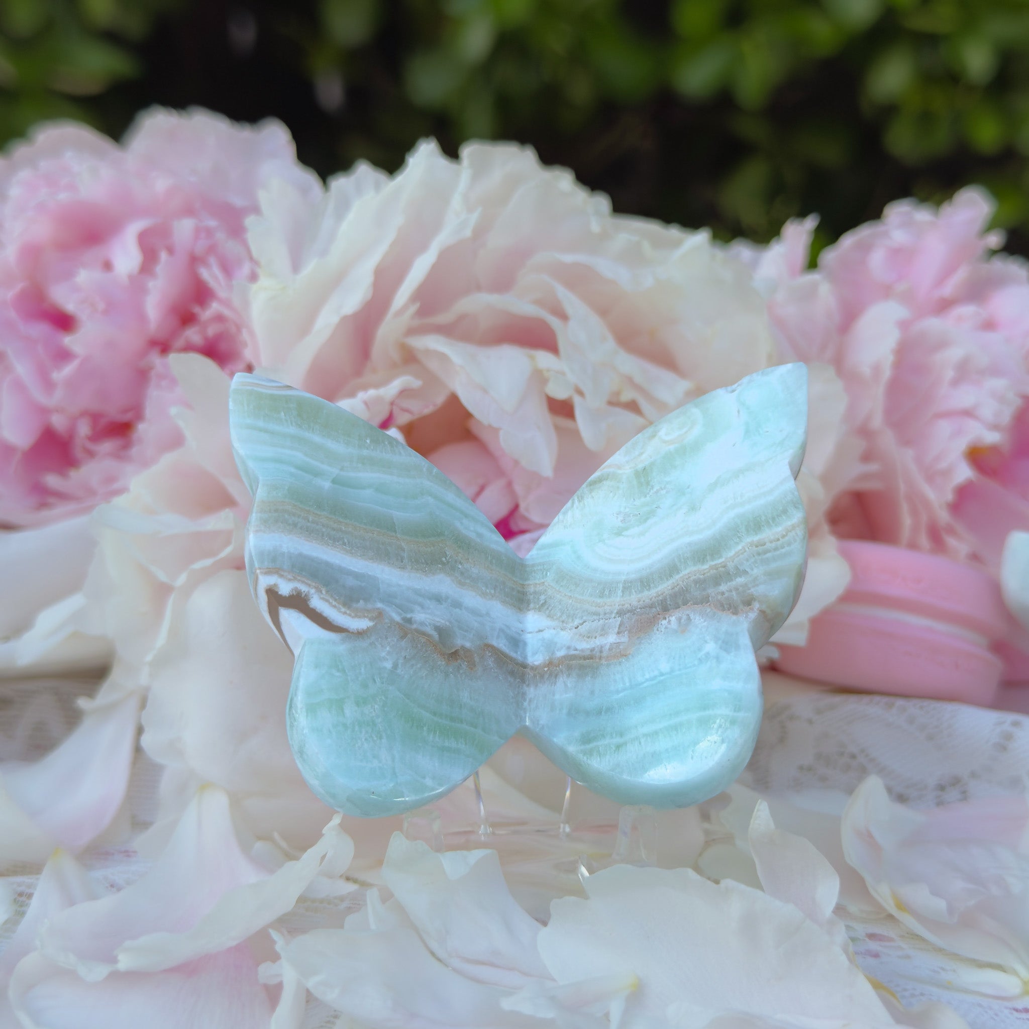 Caribbean Calcite Butterfly (Choose Your Own)