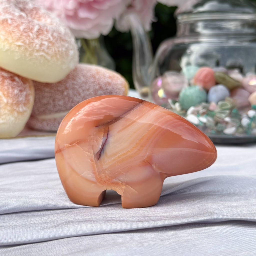 Carnelian Bear (Choose Your Own)
