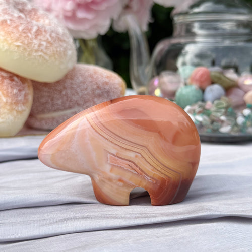 Carnelian Bear (Choose Your Own)