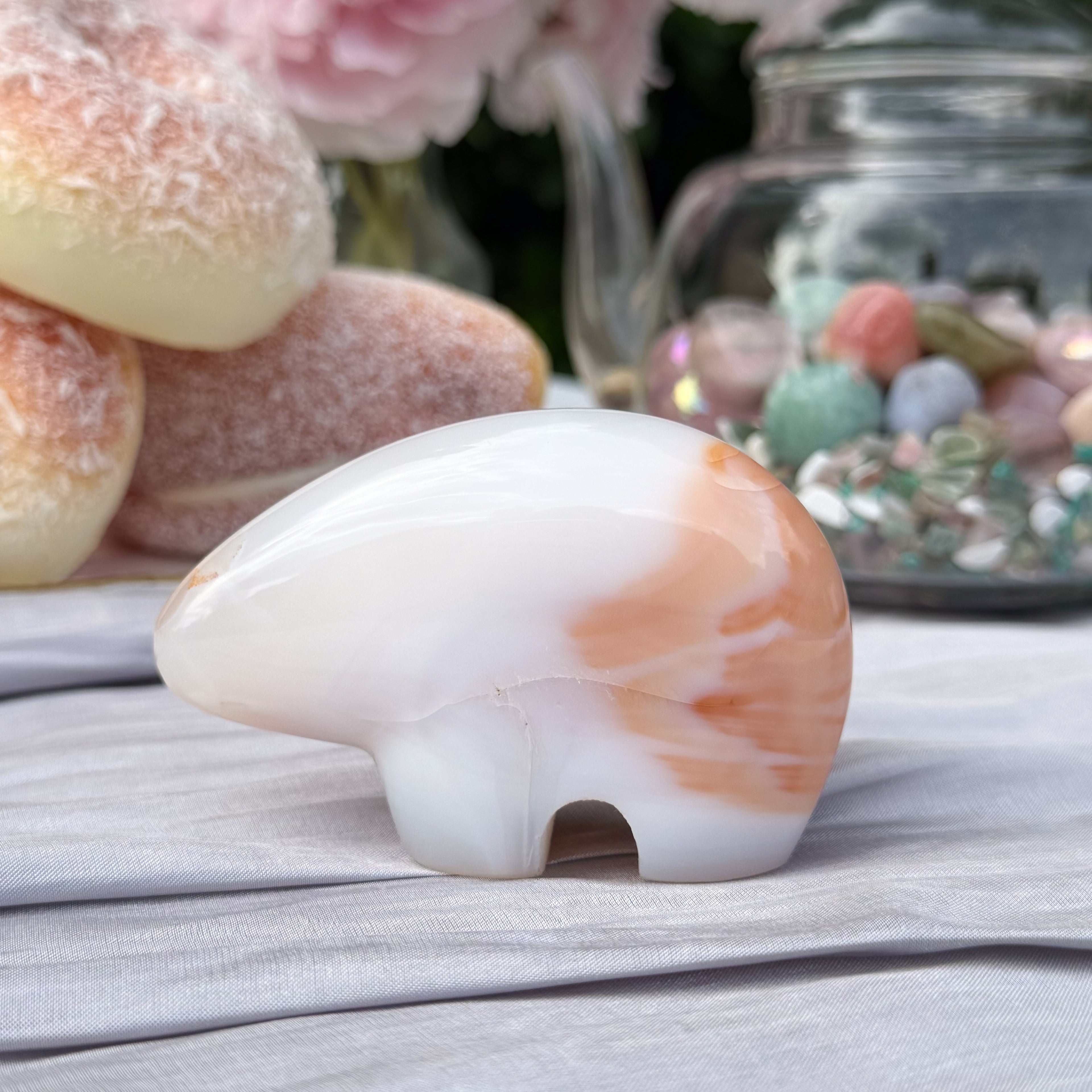 Carnelian Bear (Choose Your Own)