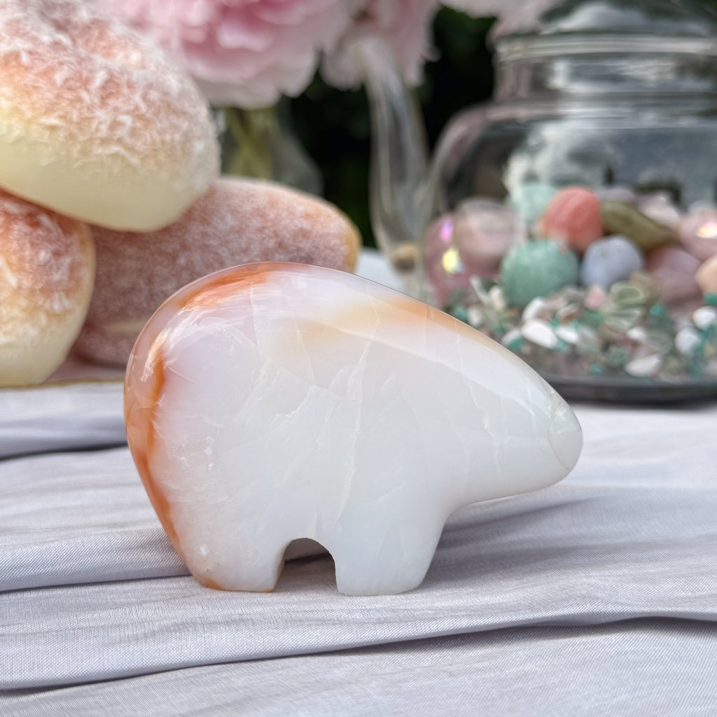 Carnelian Bear (Choose Your Own)