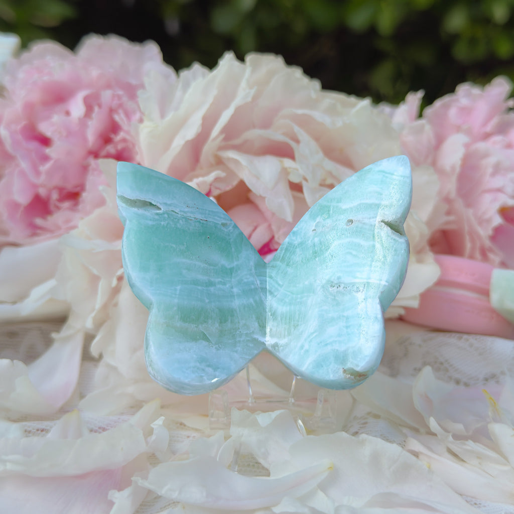 Caribbean Calcite Butterfly (Choose Your Own)