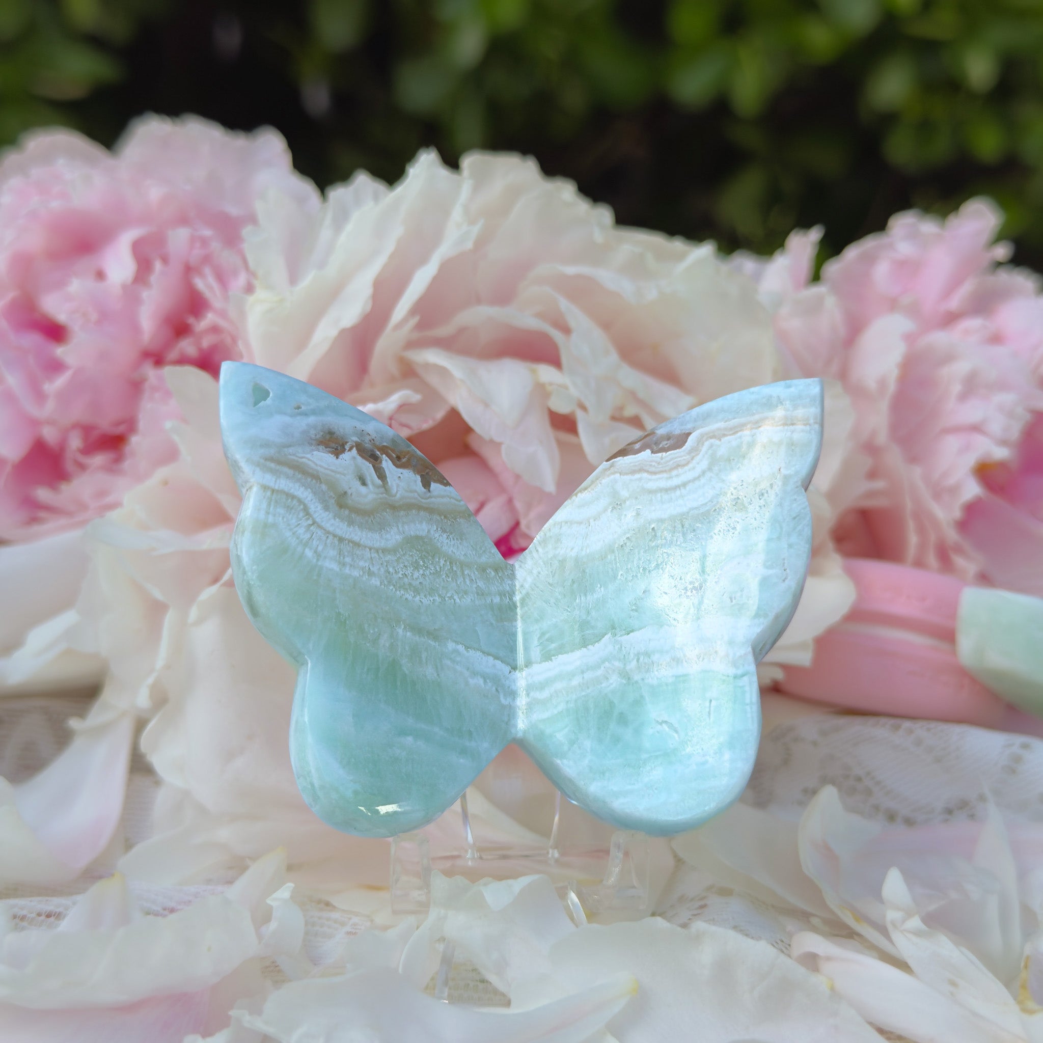 Caribbean Calcite Butterfly (Choose Your Own)