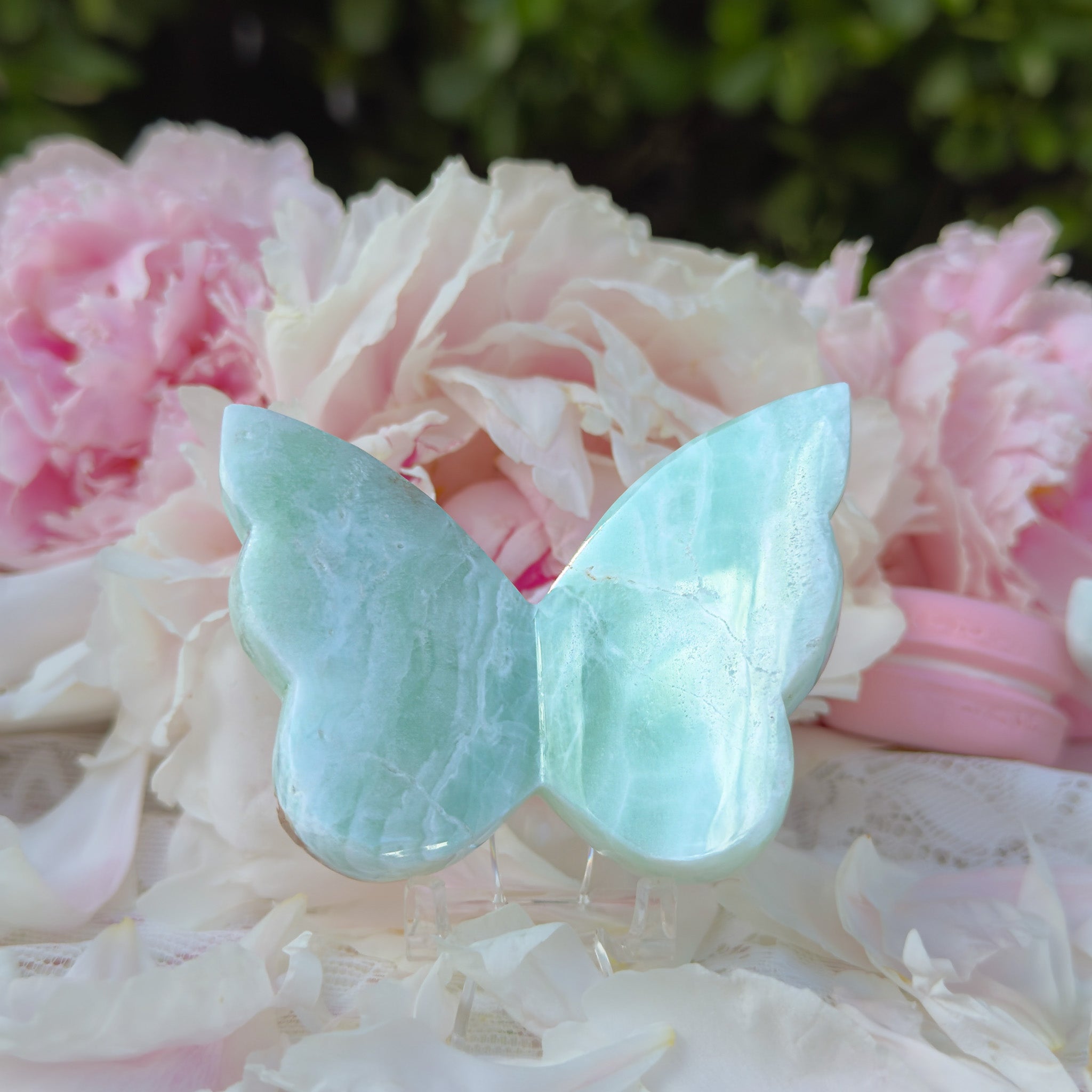 Caribbean Calcite Butterfly (Choose Your Own)