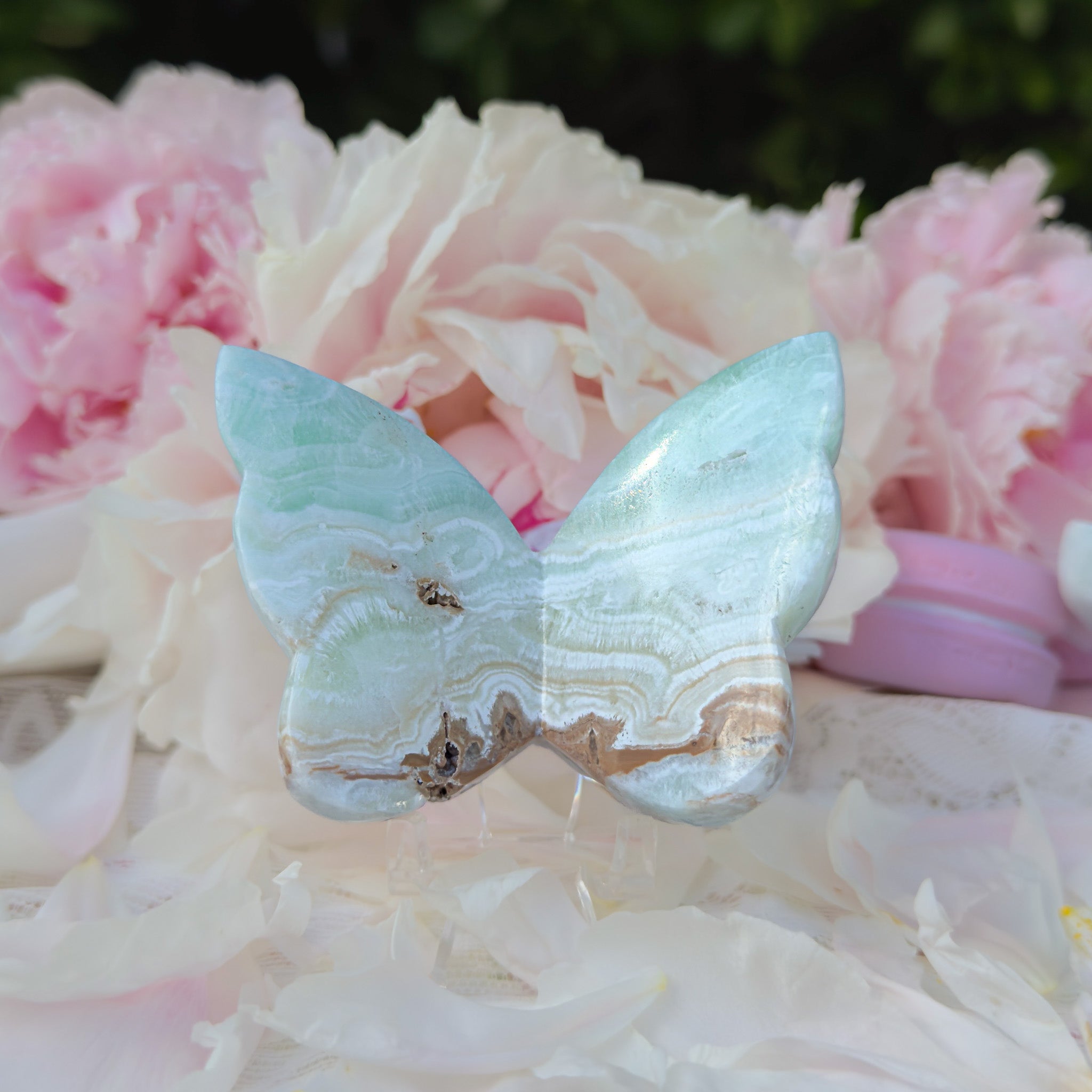 Caribbean Calcite Butterfly (Choose Your Own)