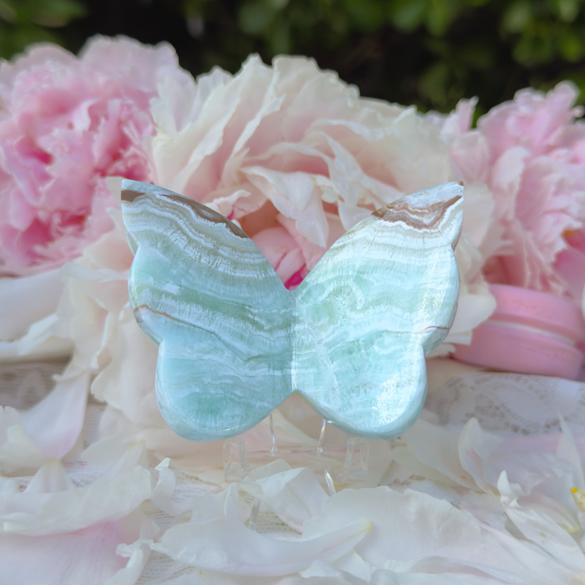Caribbean Calcite Butterfly (Choose Your Own)