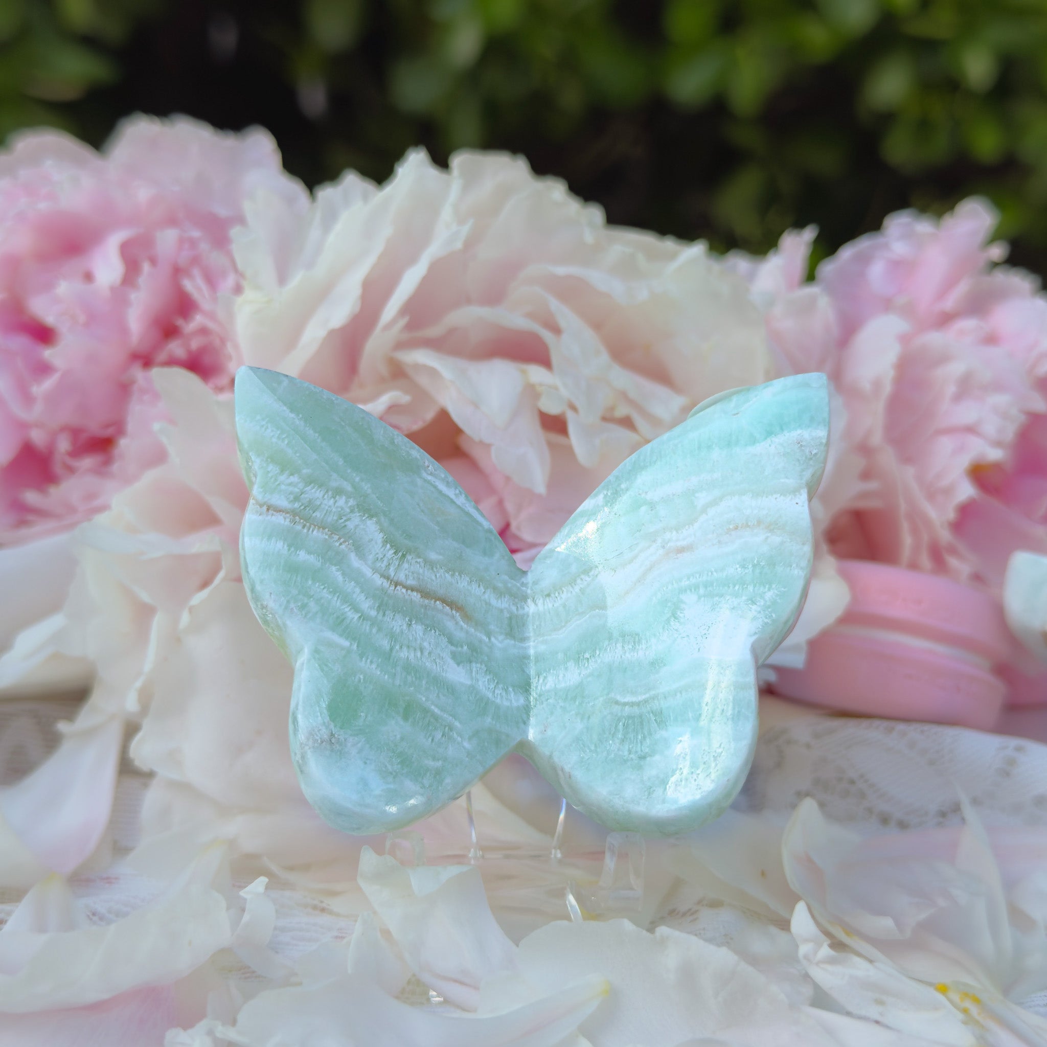 Caribbean Calcite Butterfly (Choose Your Own)