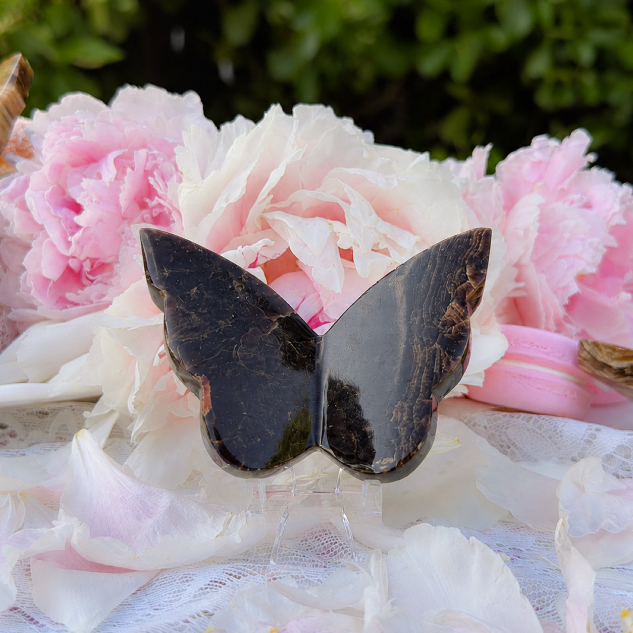 Chocolate Calcite Butterfly (Choose Your Own)