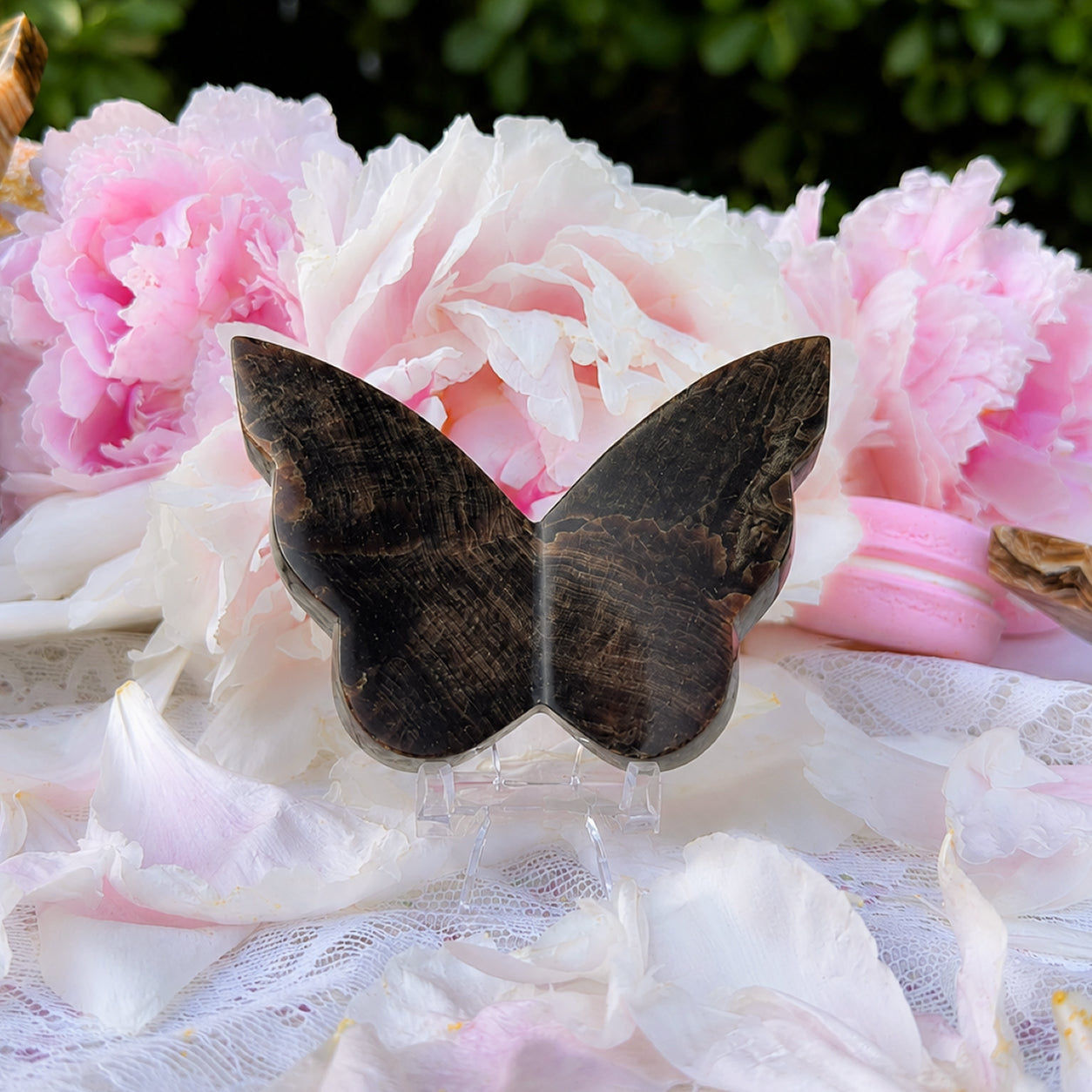 Chocolate Calcite Butterfly (Choose Your Own)