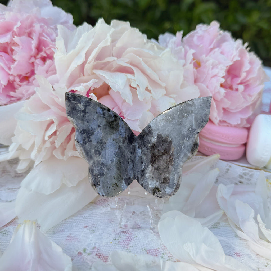 Larvikite Butterfly (Intuitively Picked)