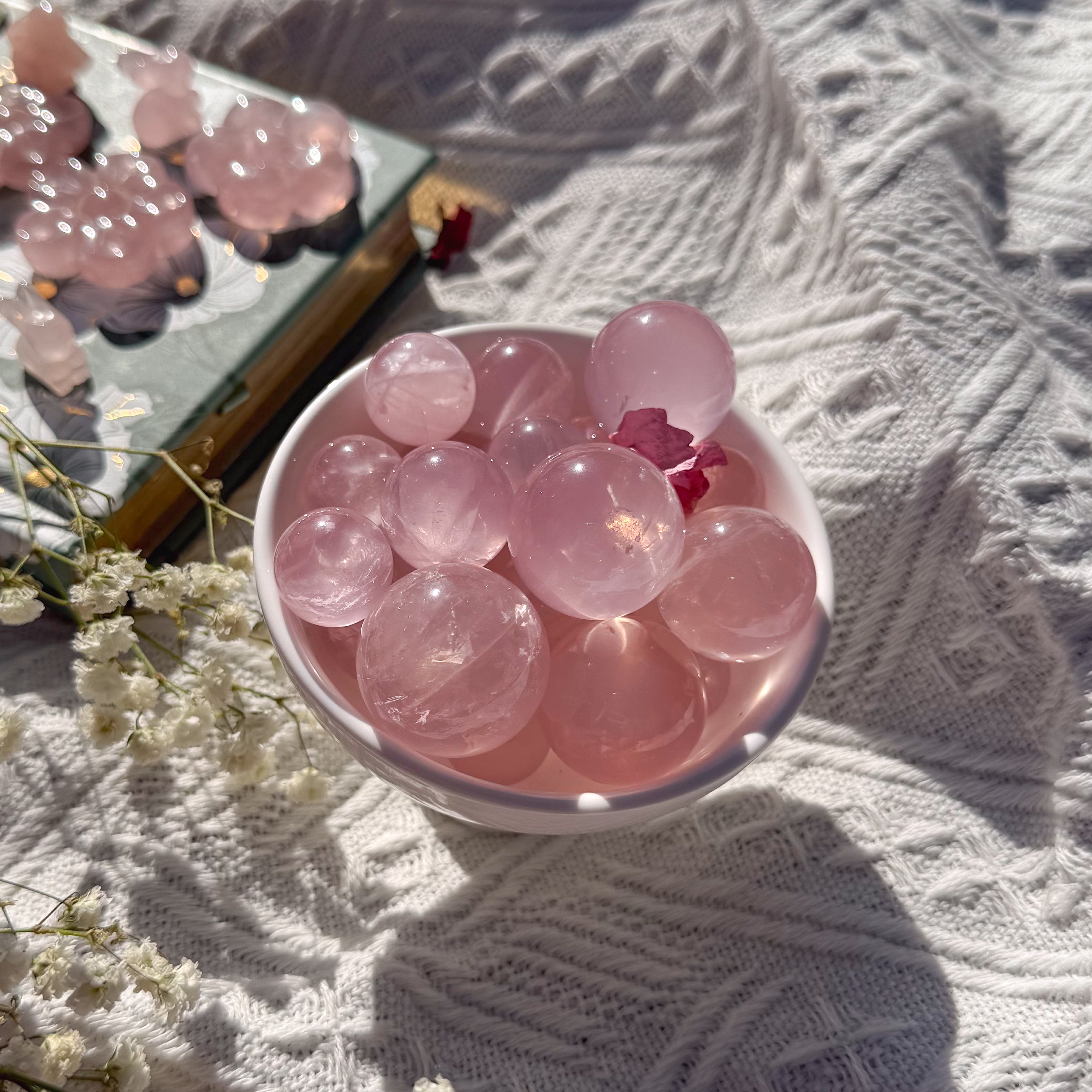 Mini Mozambique Star Rose Quartz (Intuitively Picked)
