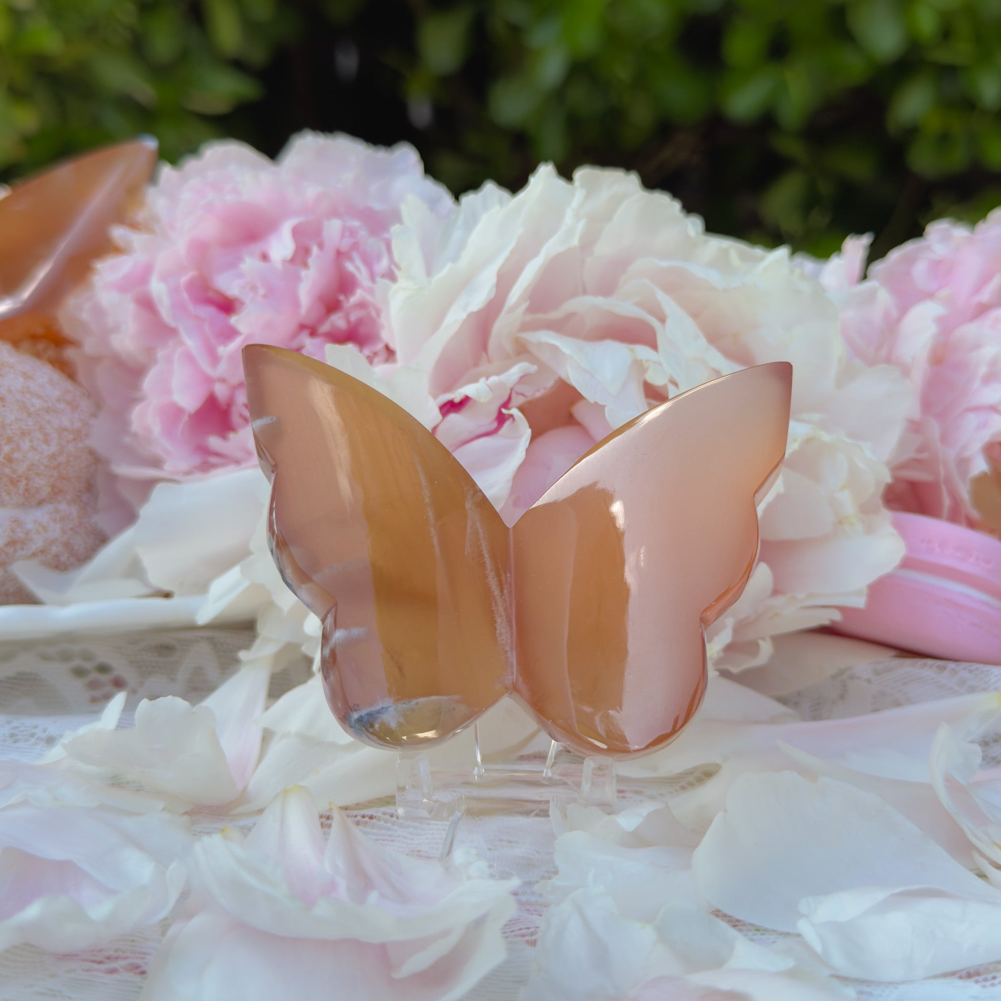 Honey Calcite Butterfly (Choose Your Own)