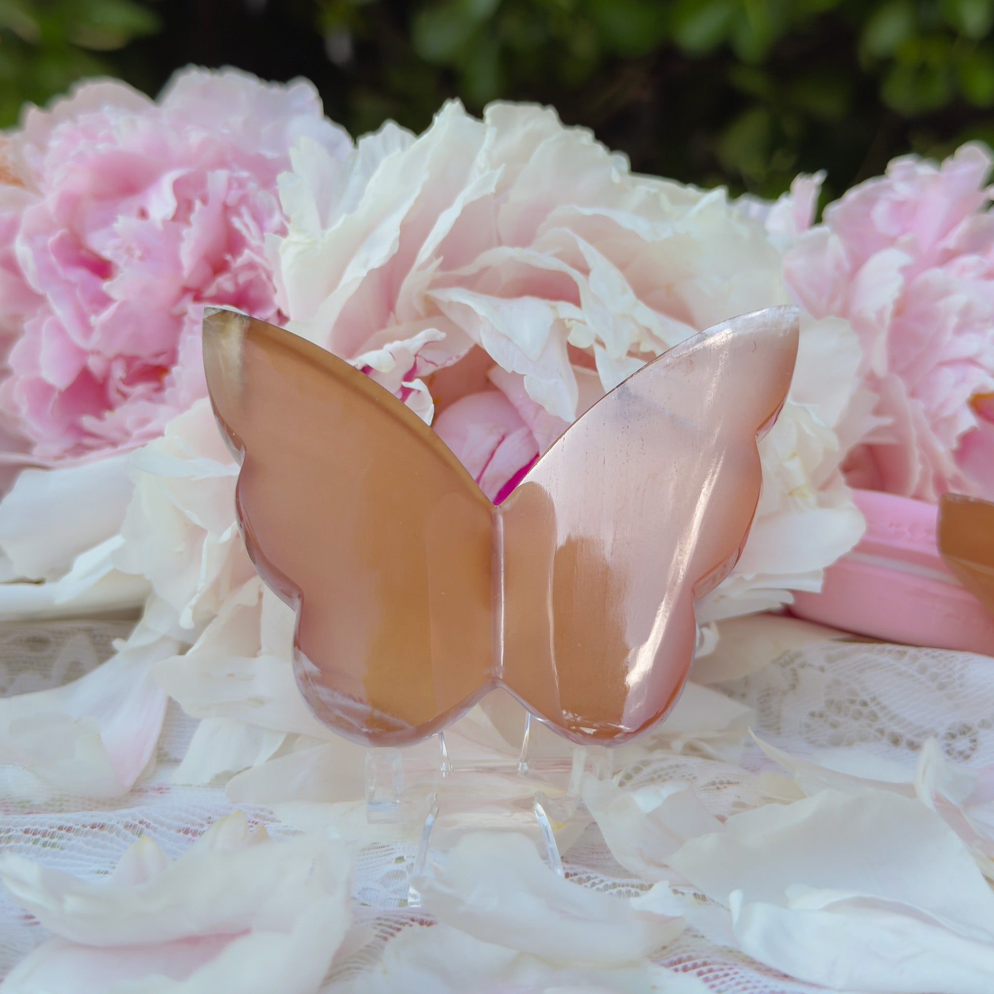 Honey Calcite Butterfly (Choose Your Own)