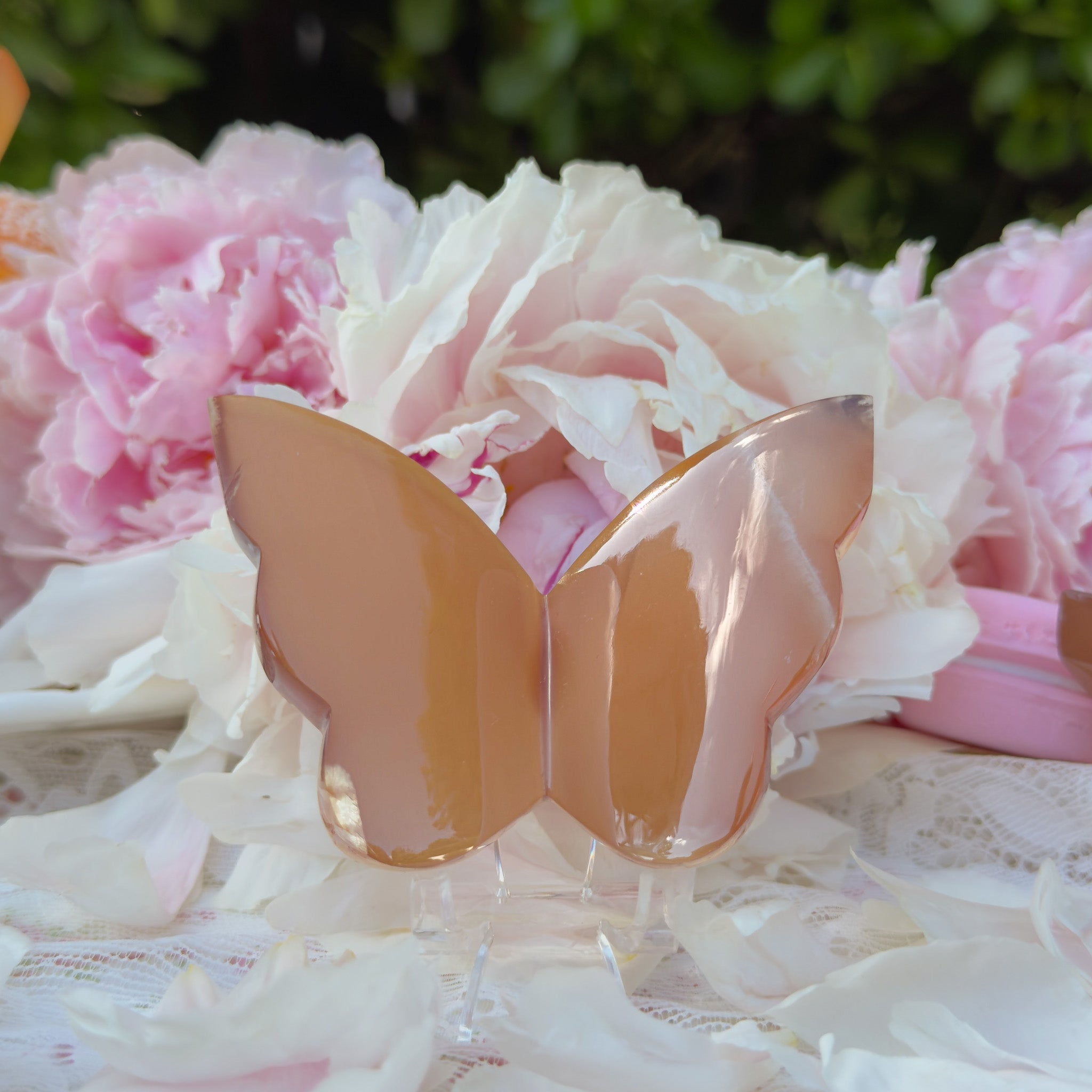 Honey Calcite Butterfly (Choose Your Own)