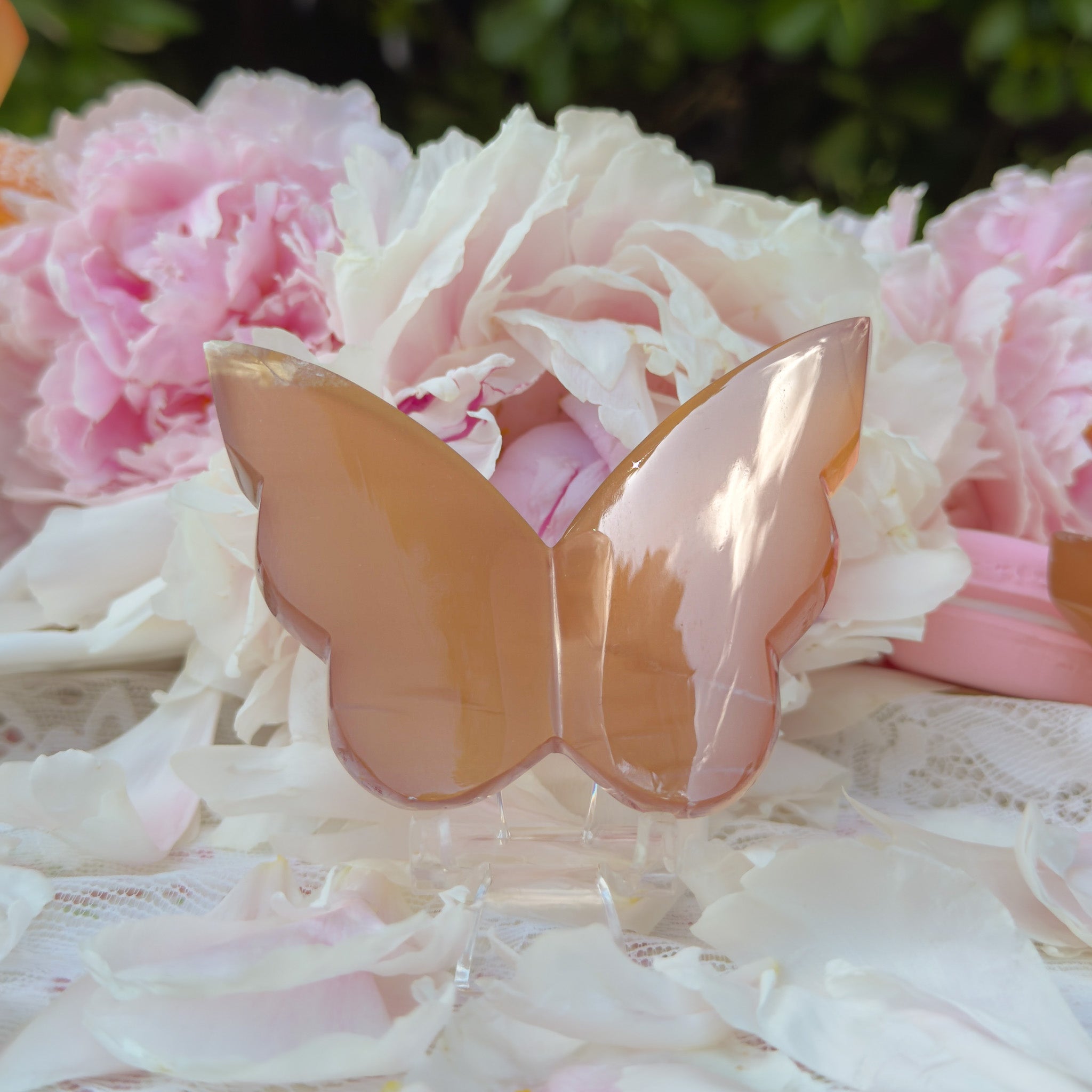 Honey Calcite Butterfly (Choose Your Own)