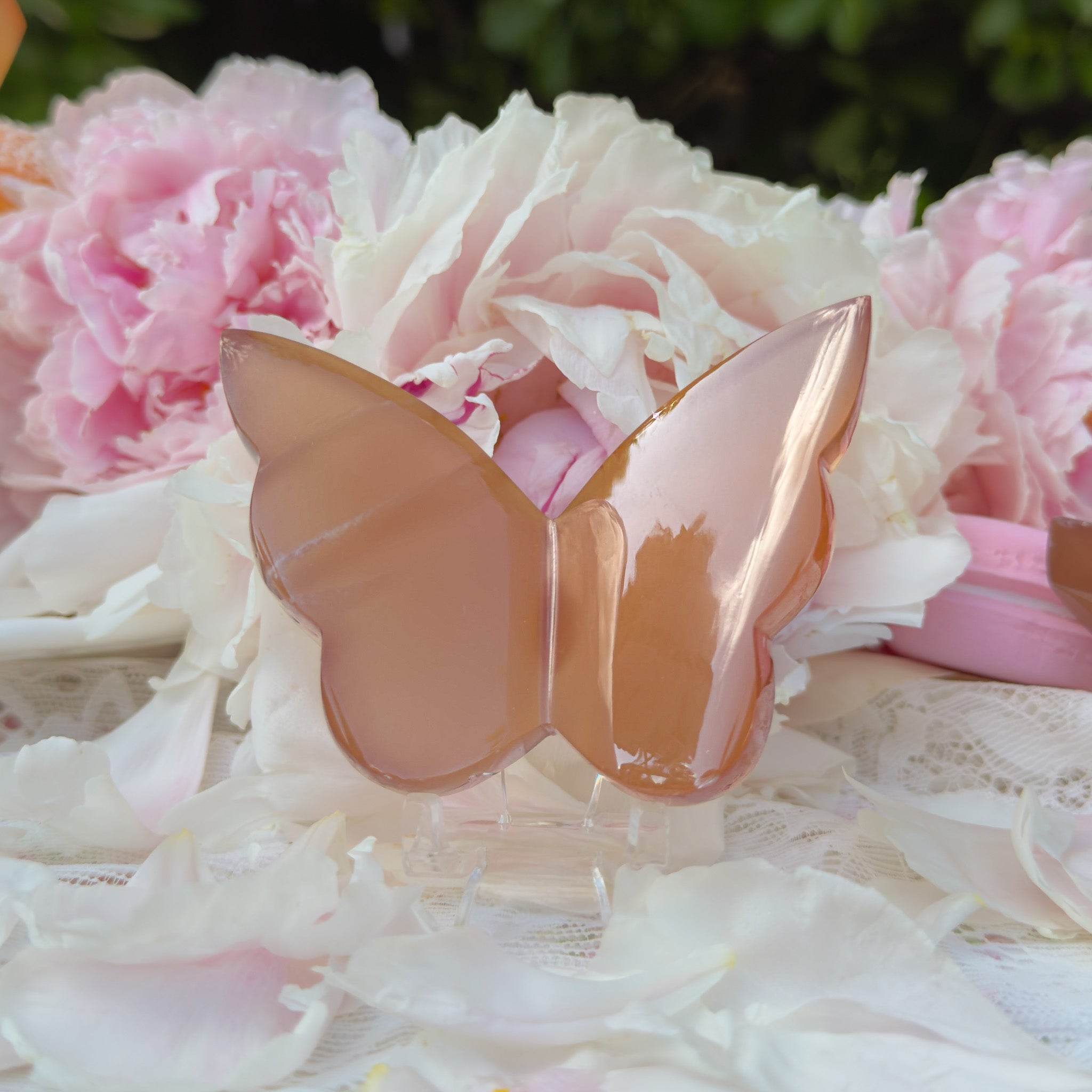 Honey Calcite Butterfly (Choose Your Own)
