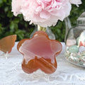 Honey Calcite Star Carving (Choose Your Own)