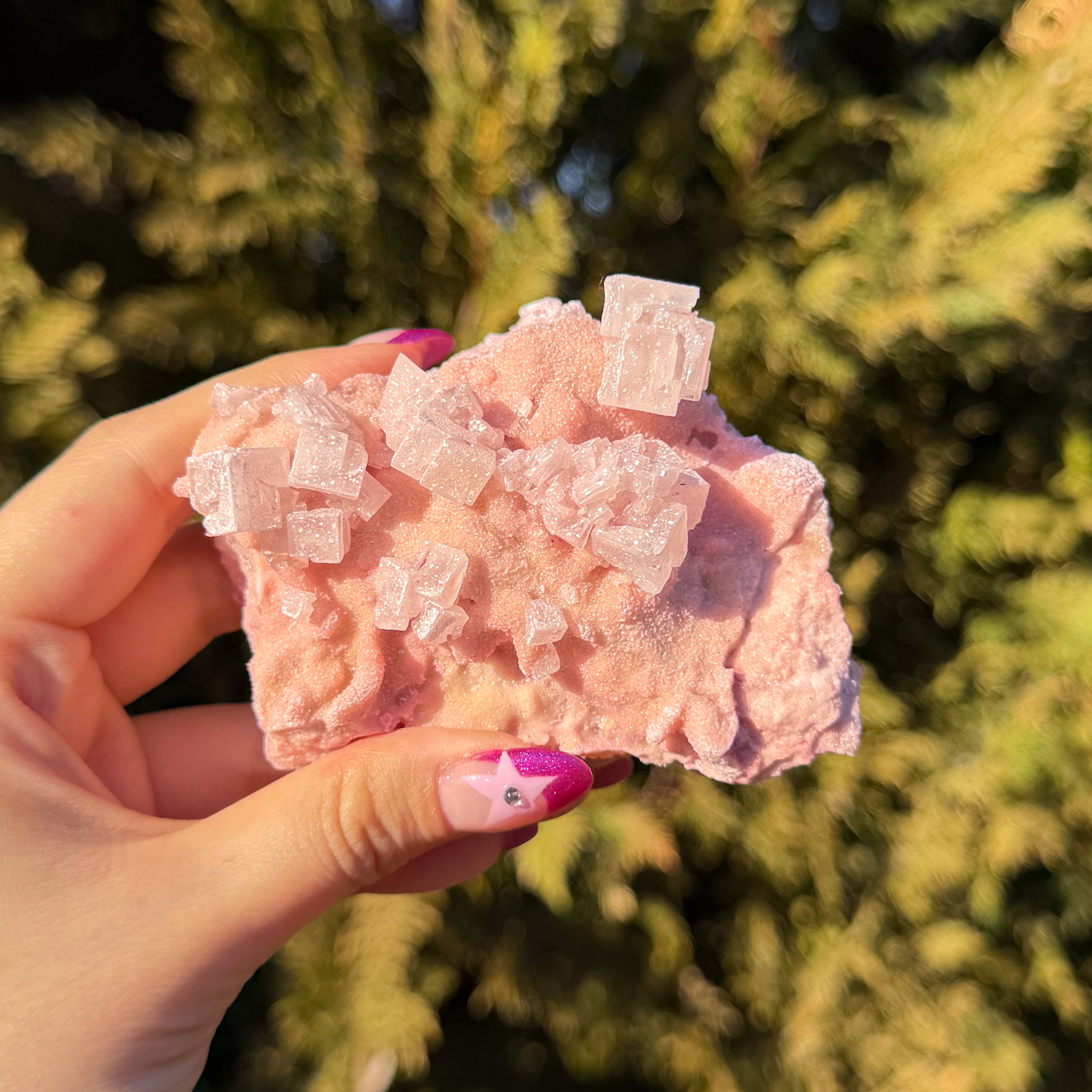 Pink Halite Crystal Cluster F
