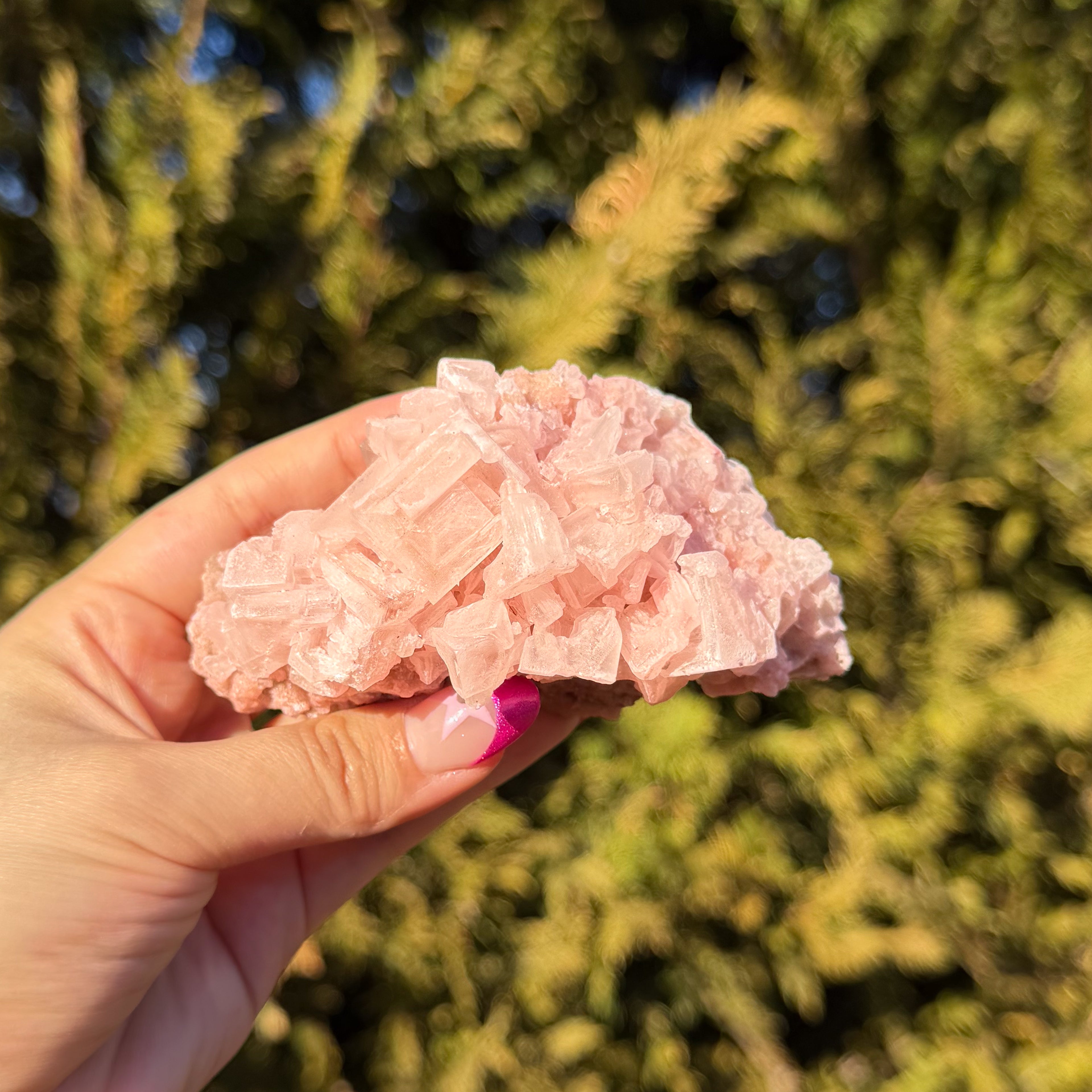 Pink Halite Crystal Cluster E