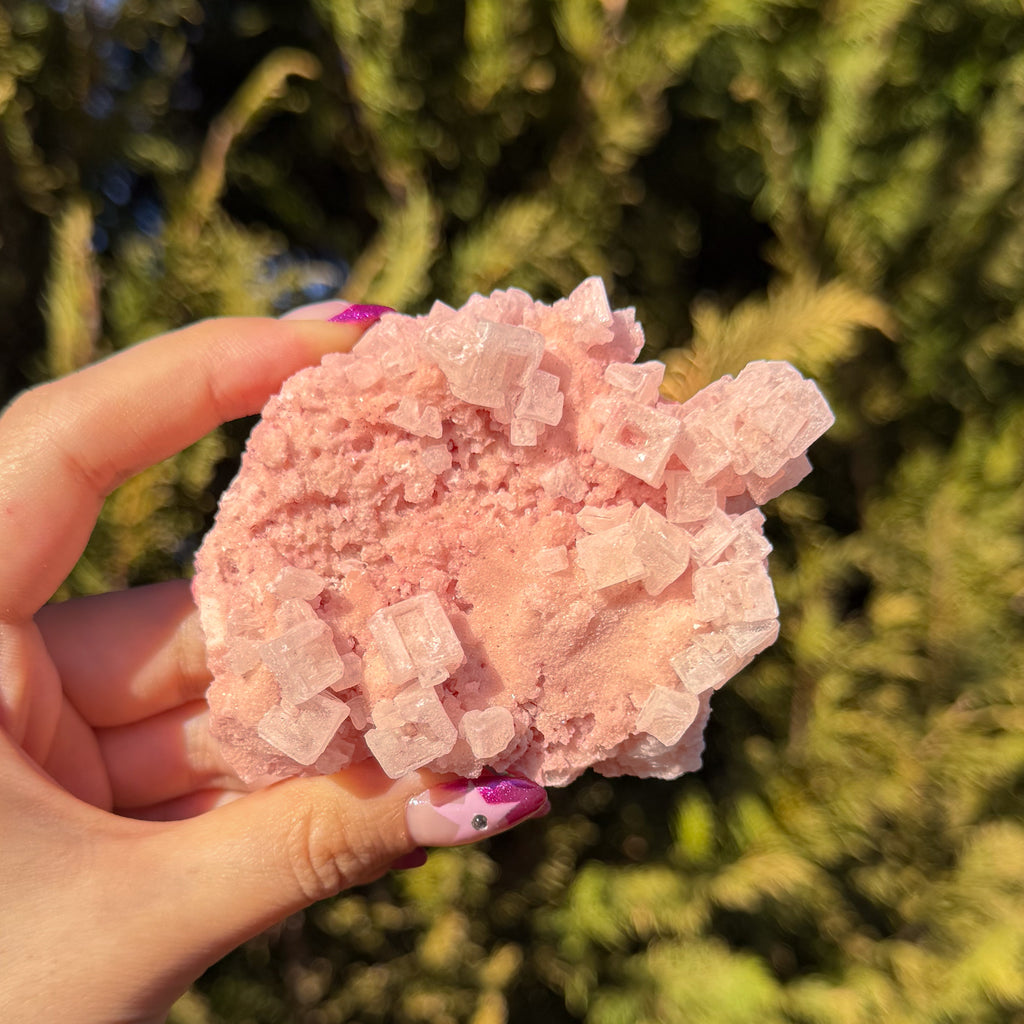 Pink Halite Crystal Cluster A
