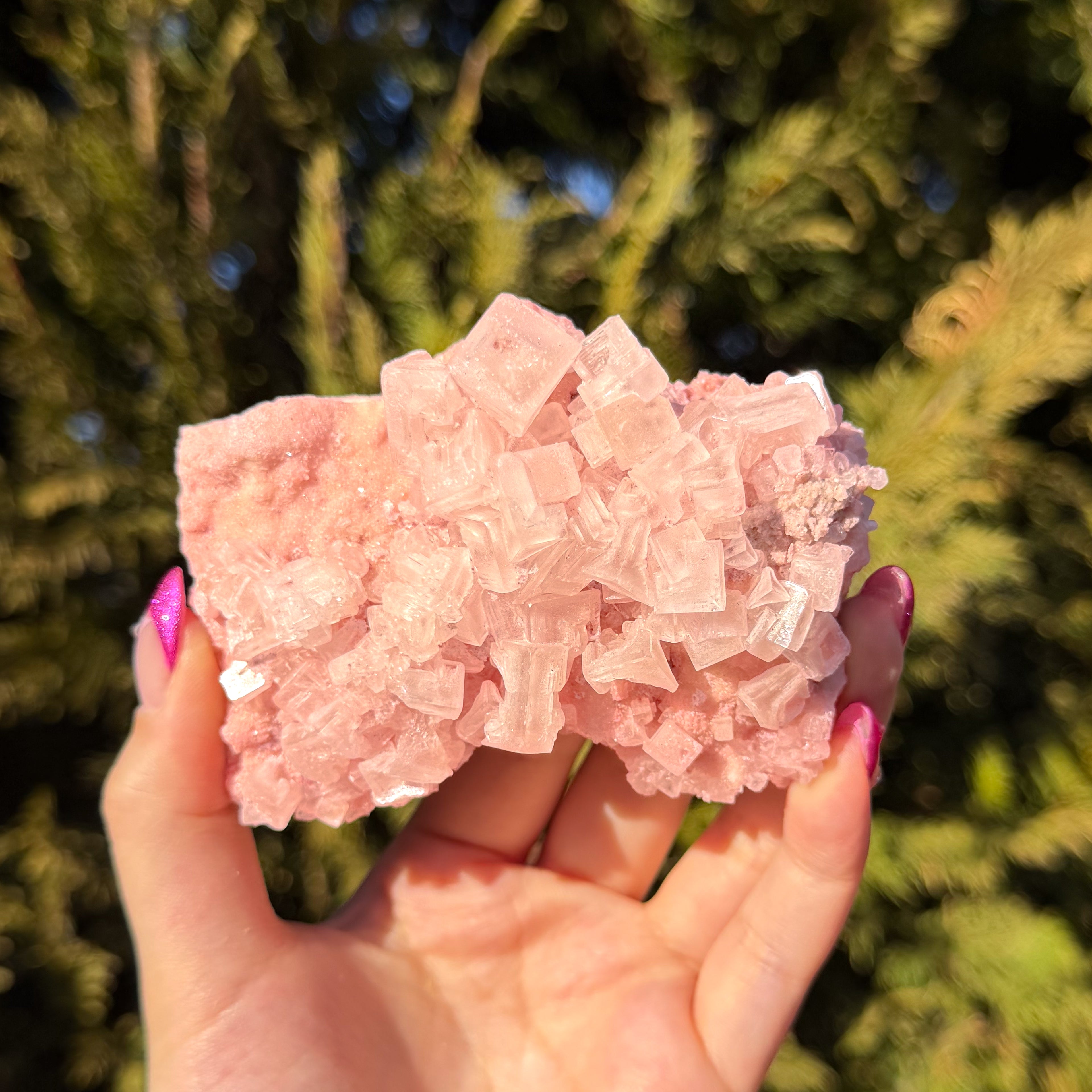Pink Halite Crystal Cluster D