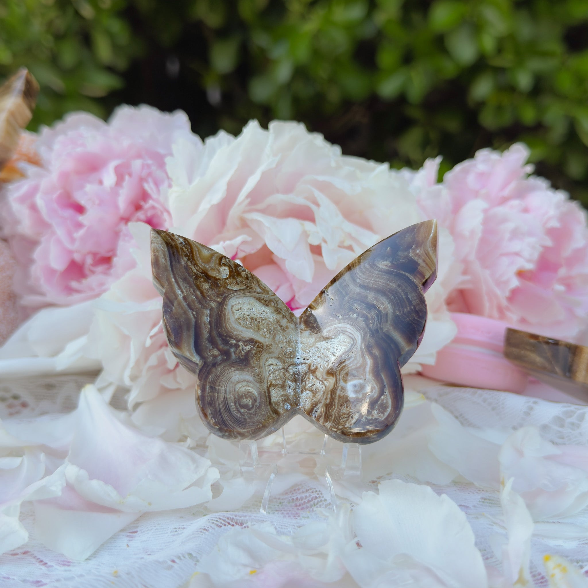Chocolate Calcite Butterfly (Choose Your Own)