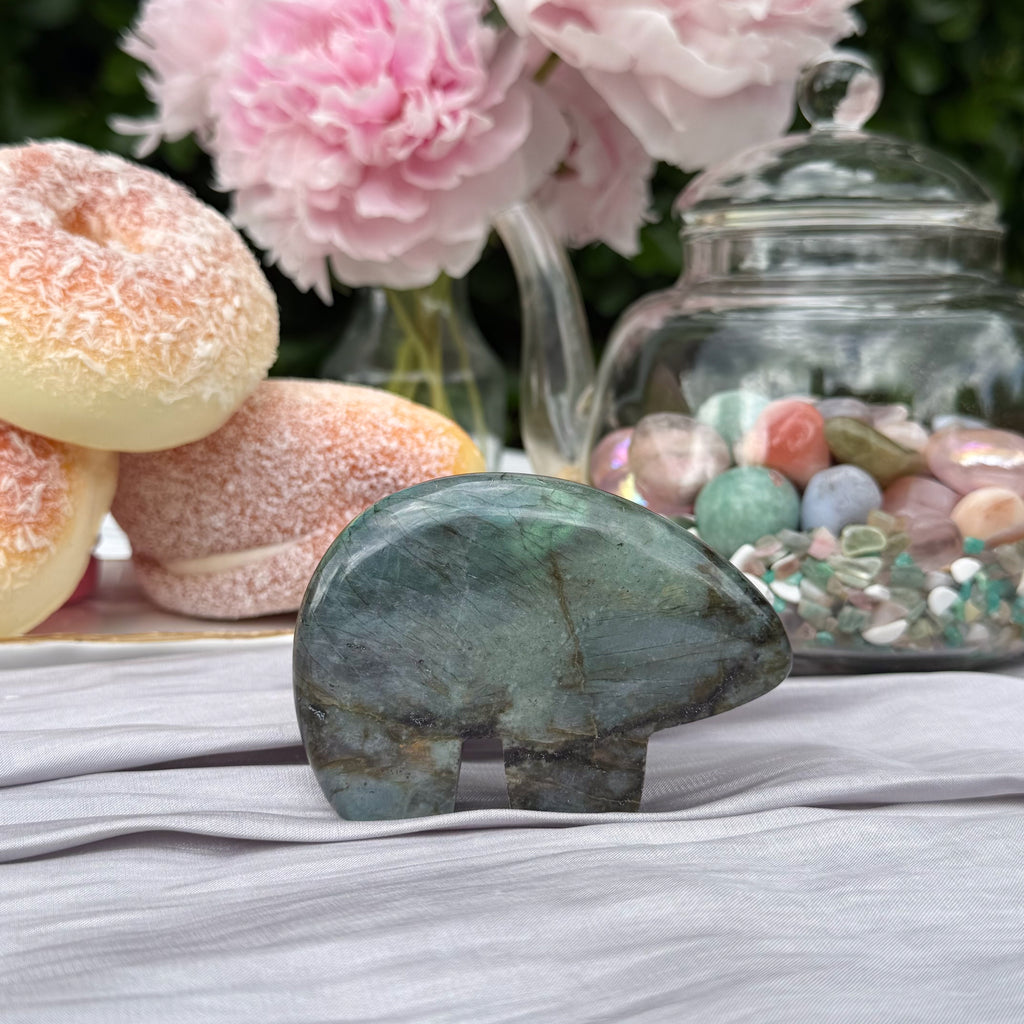 Labradorite Bears (Choose Your Own)