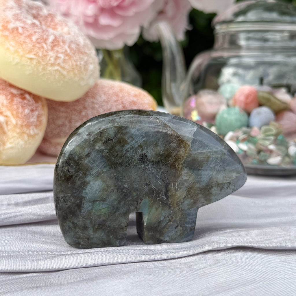Labradorite Bears (Choose Your Own)