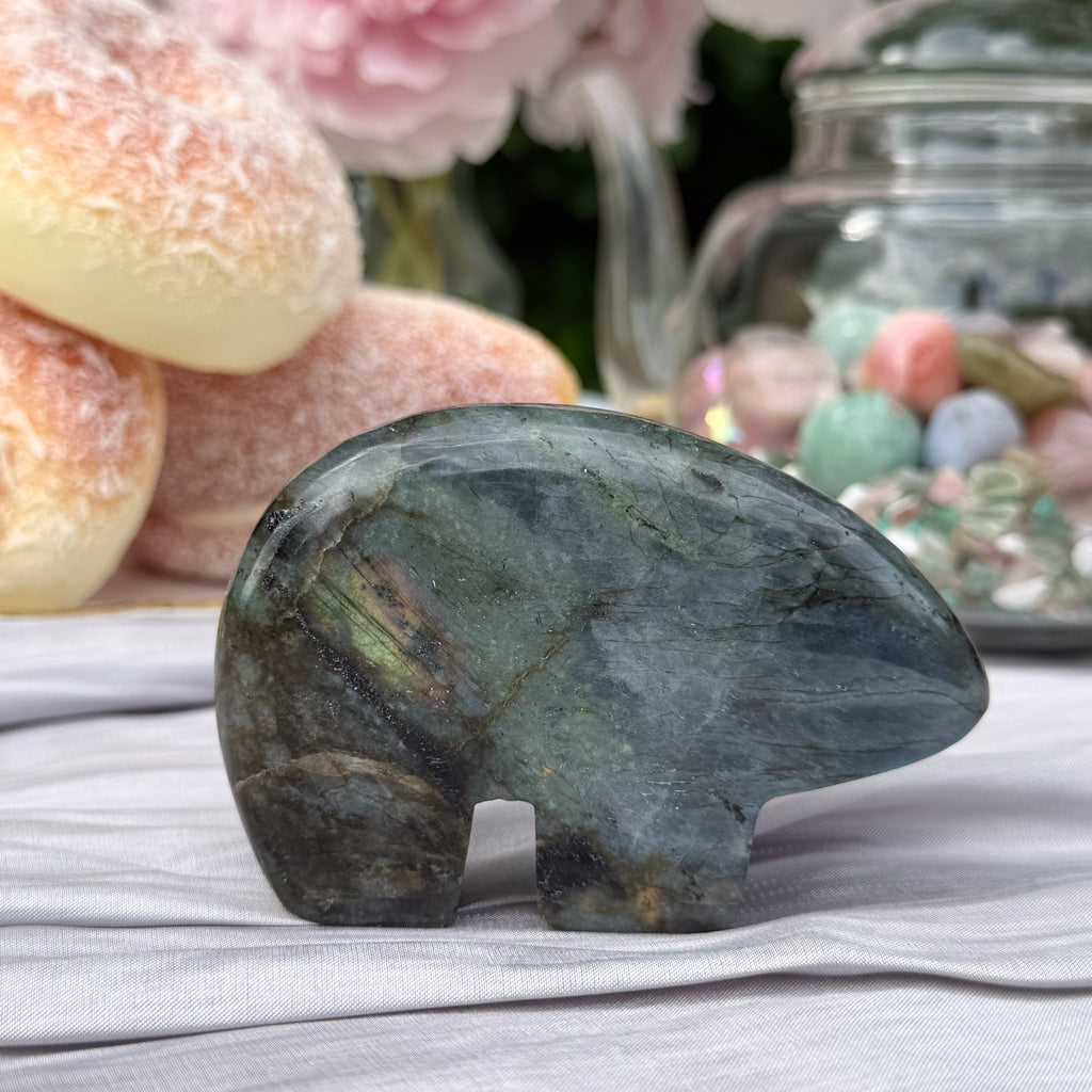 Labradorite Bears (Choose Your Own)