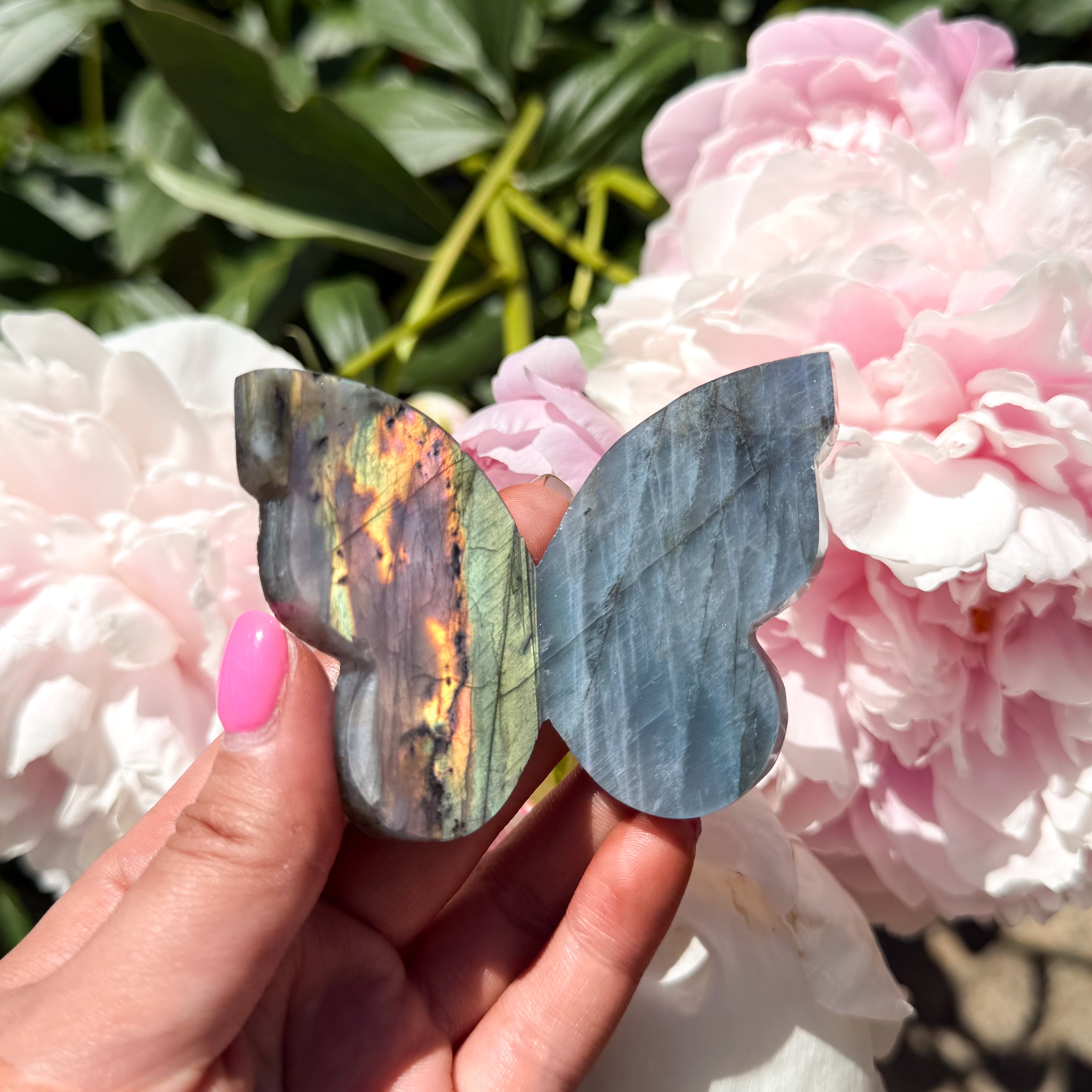 Labradorite Butterfly (Choose Your Own)