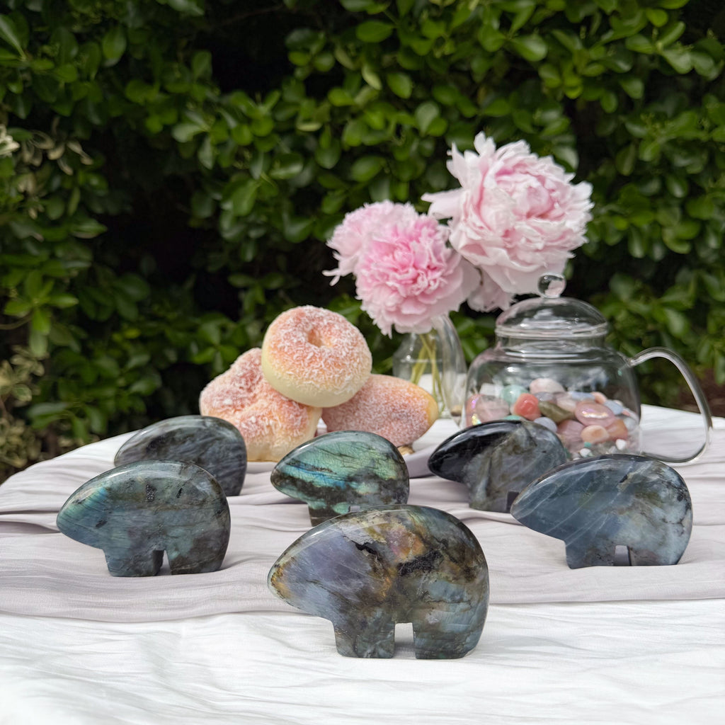 Labradorite Bears (Choose Your Own)