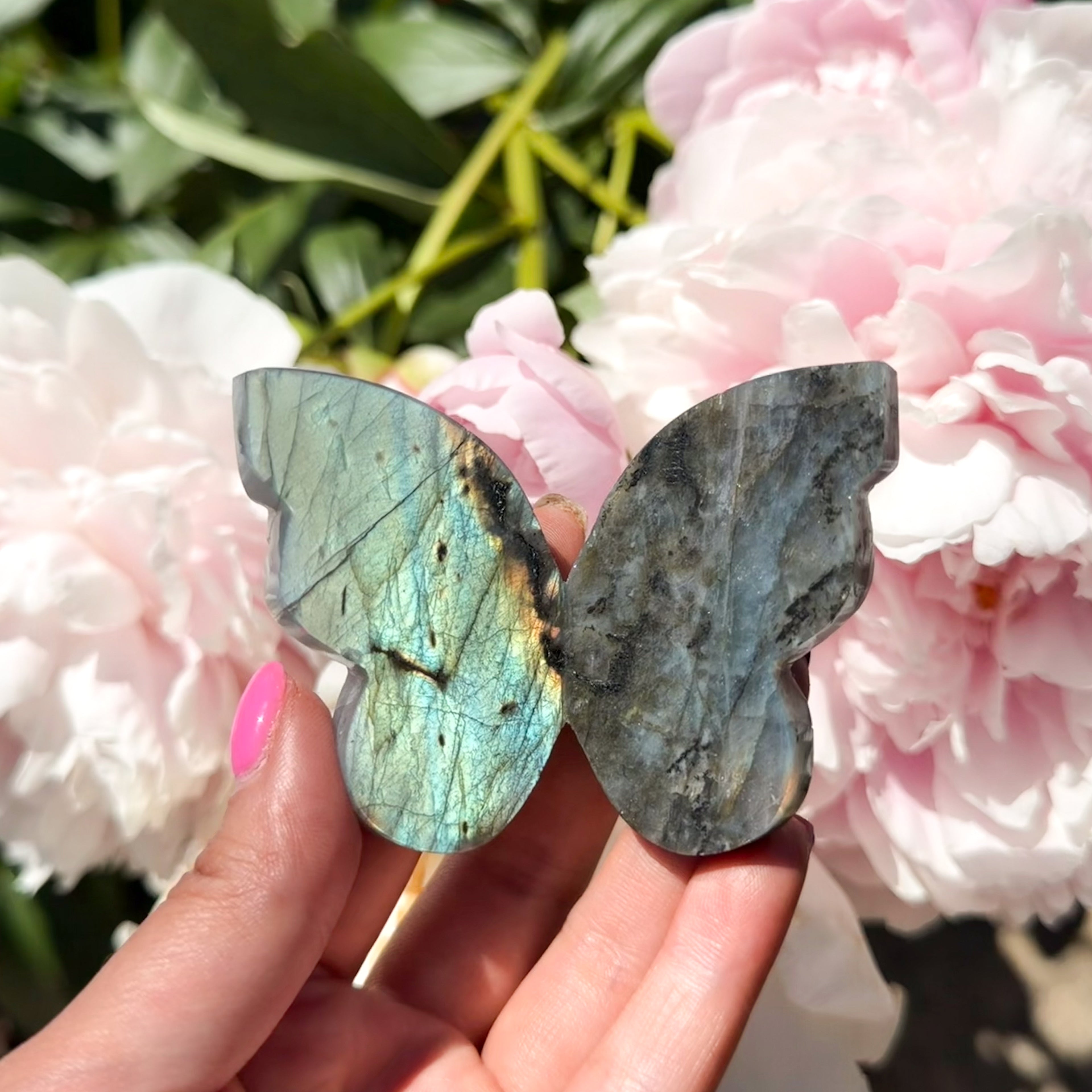 Labradorite Butterfly (Choose Your Own)
