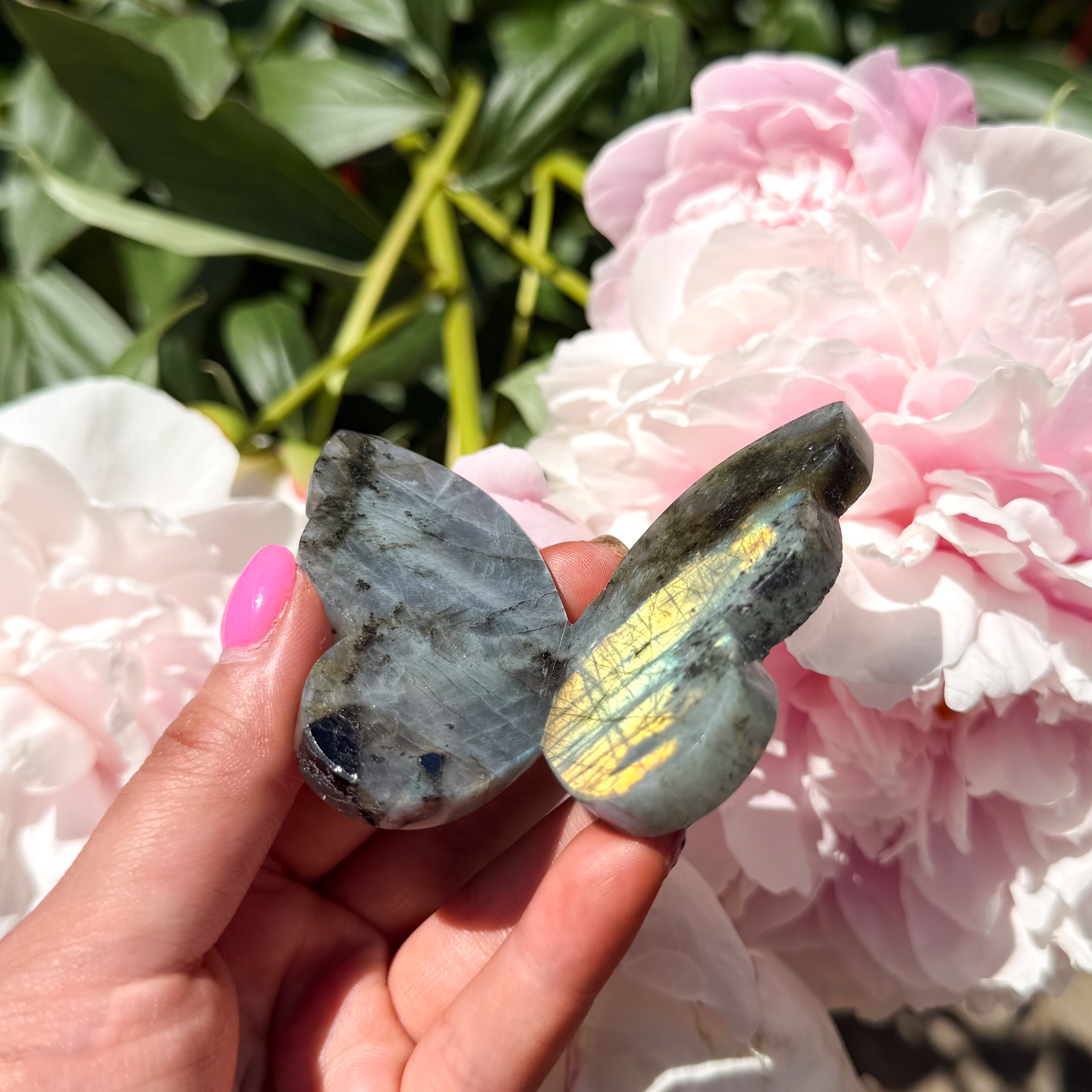 Labradorite Butterfly (Choose Your Own)