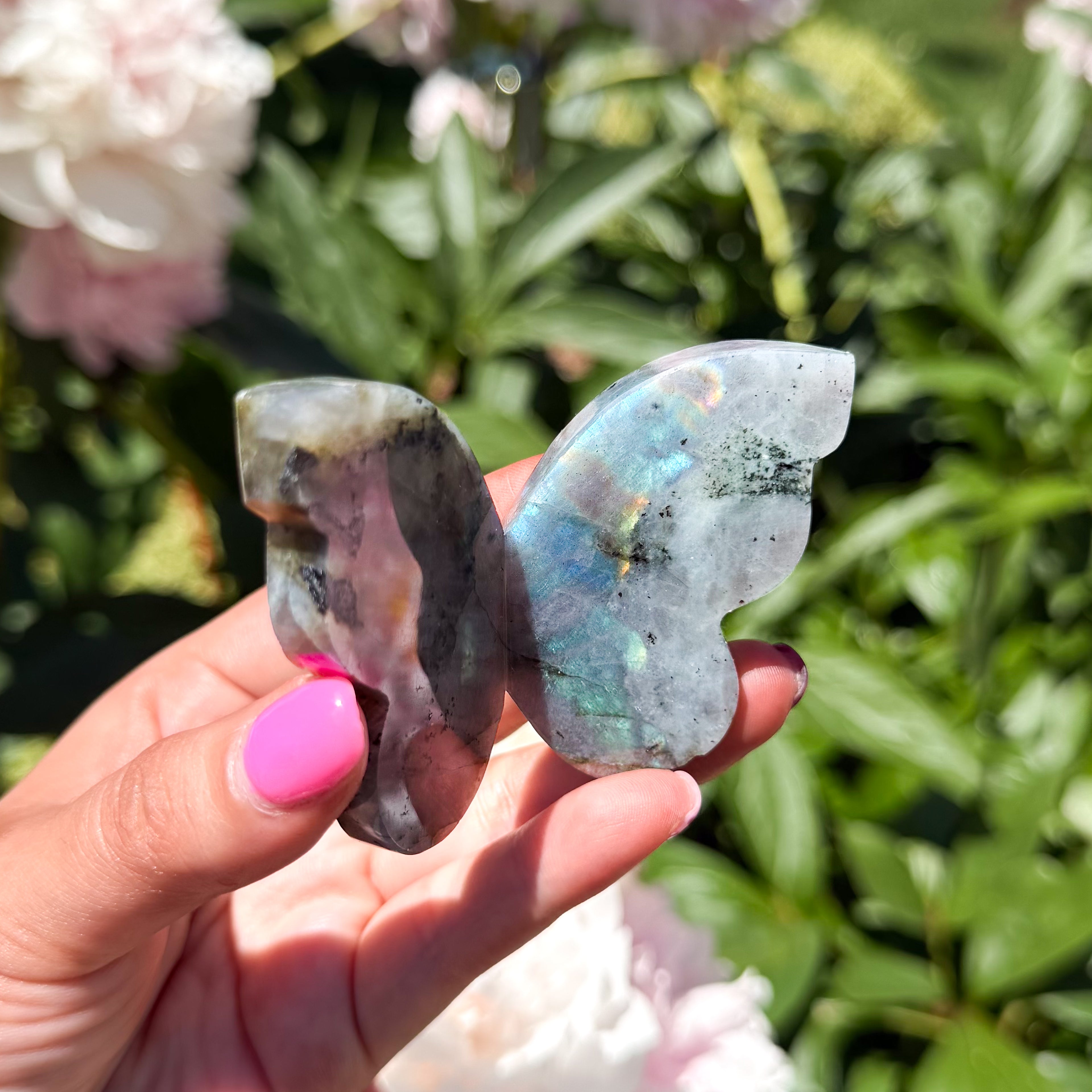 Labradorite Butterfly (Choose Your Own)