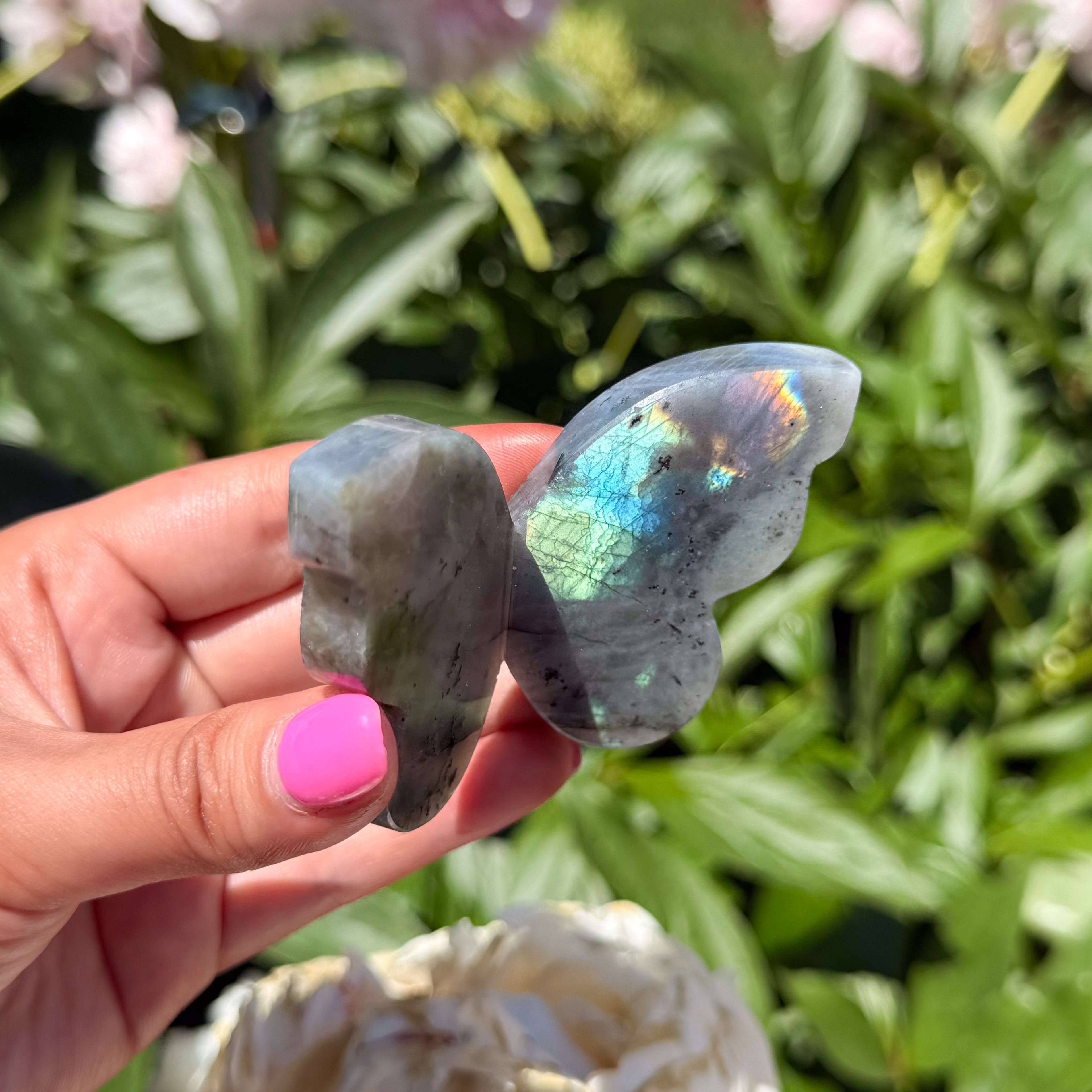 Labradorite Butterfly (Choose Your Own)