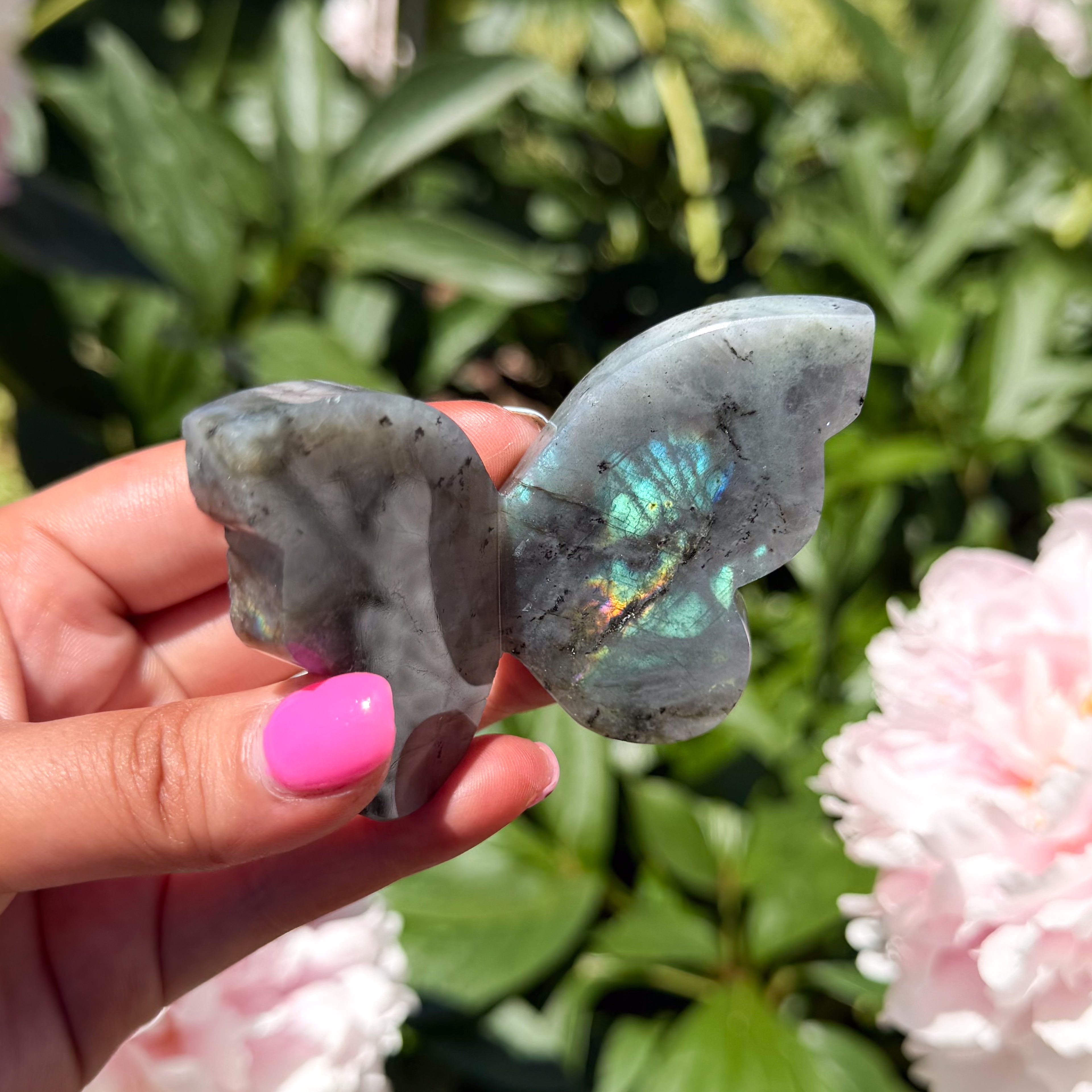 Labradorite Butterfly (Choose Your Own)