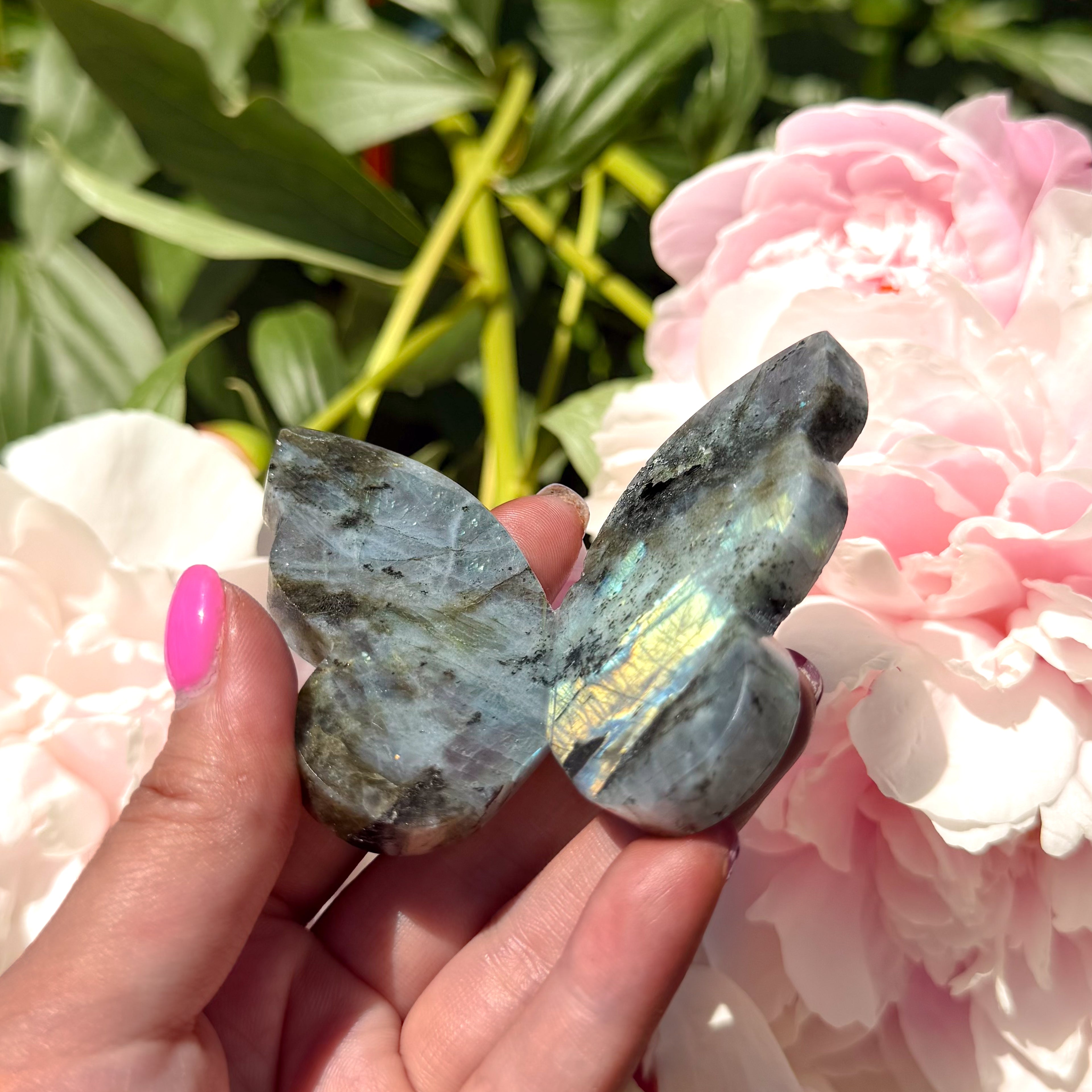 Labradorite Butterfly (Choose Your Own)