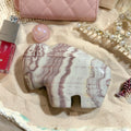 Rhyolite Buffalo (Choose Your Own)
