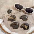 Septarian Bear (Intuitively Picked)