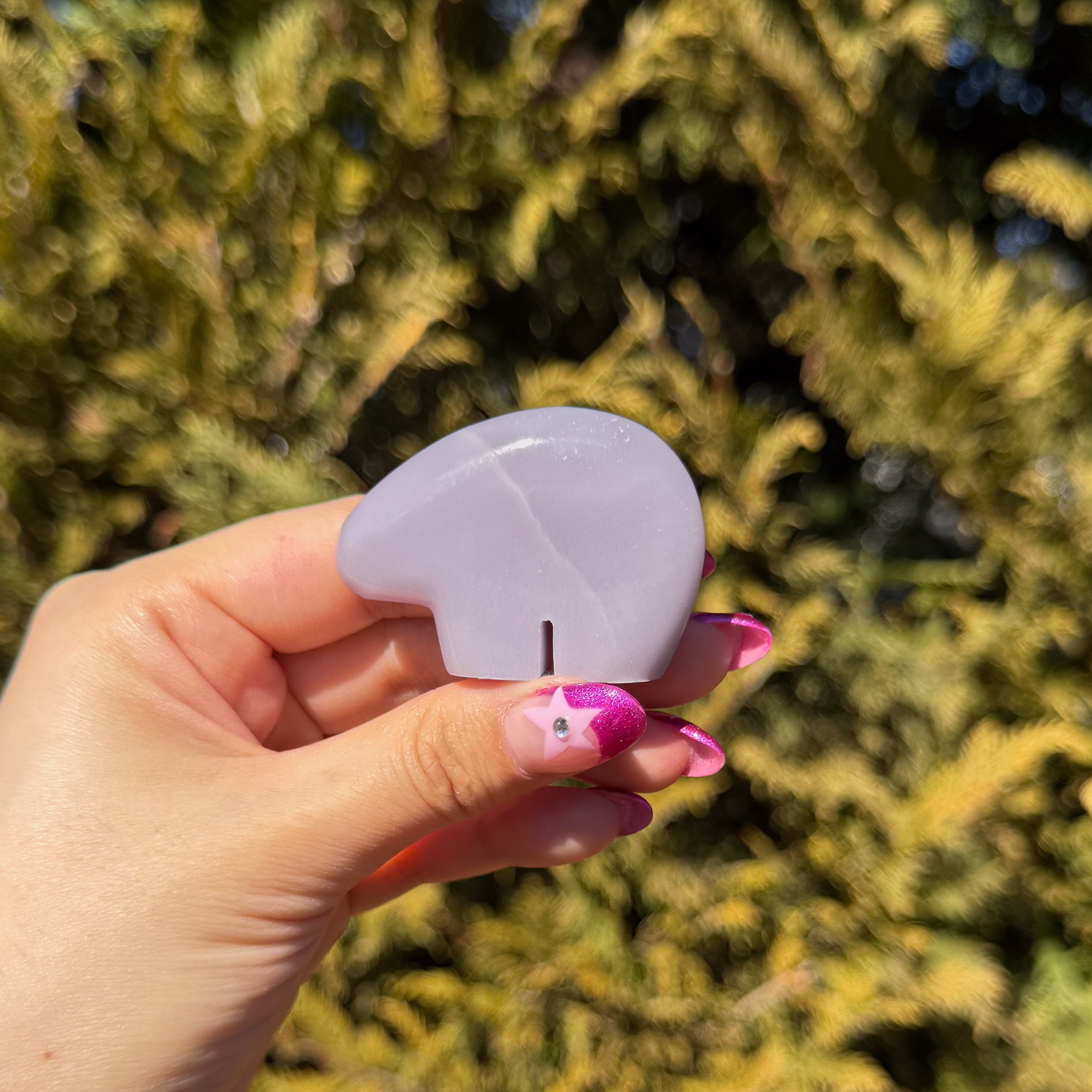 Lavender Fluorite Bear E