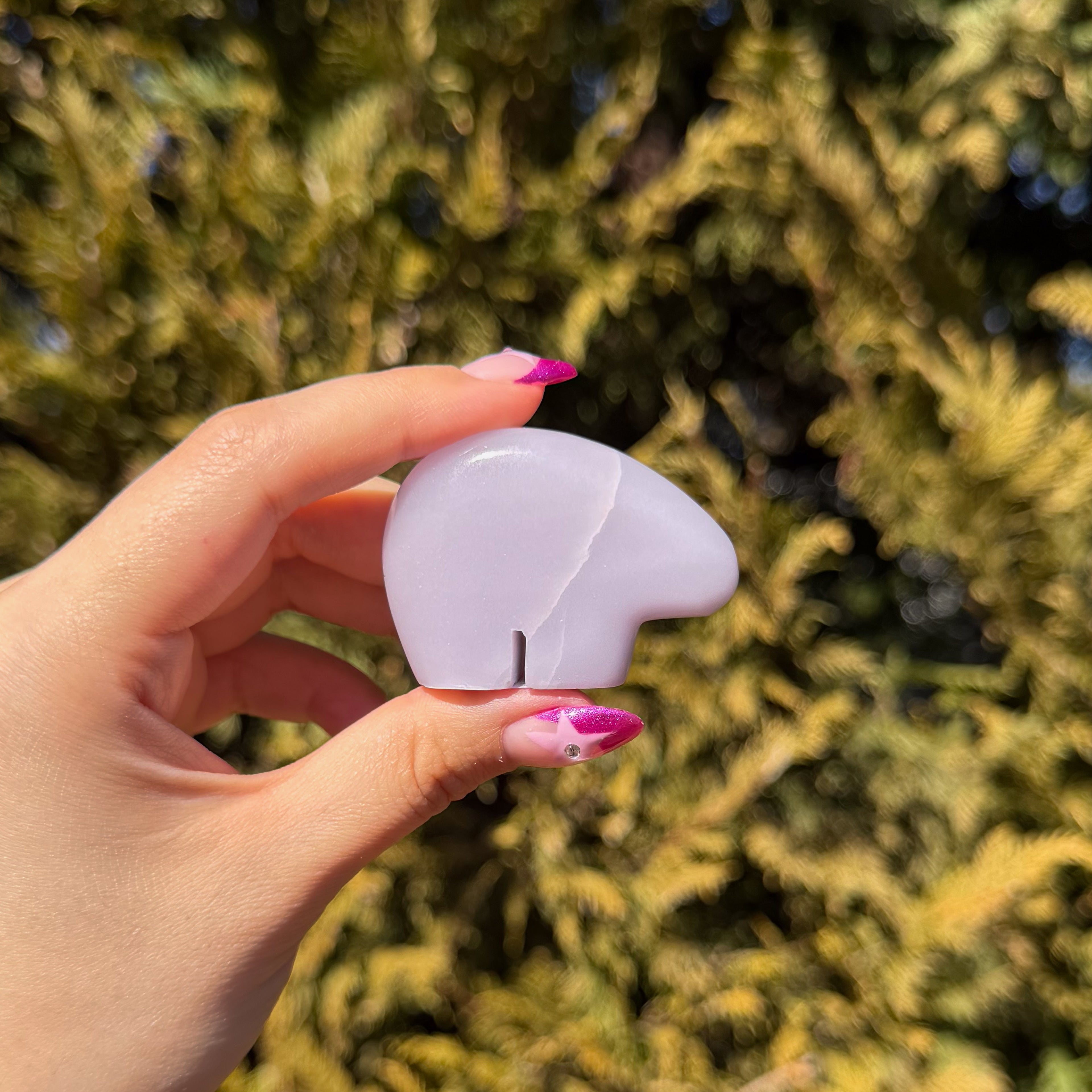 Lavender Fluorite Bear E