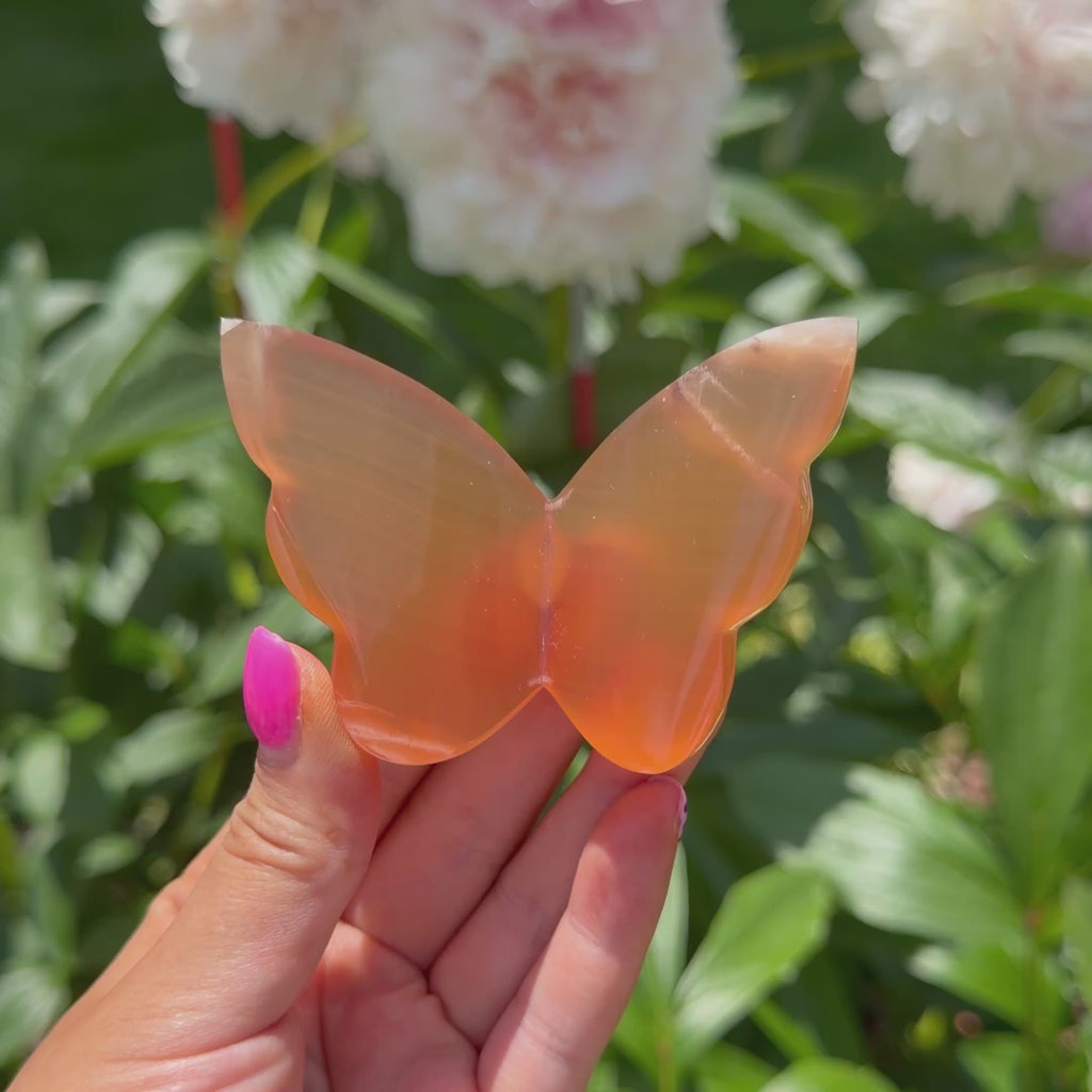 Honey Calcite Butterfly (Choose Your Own)