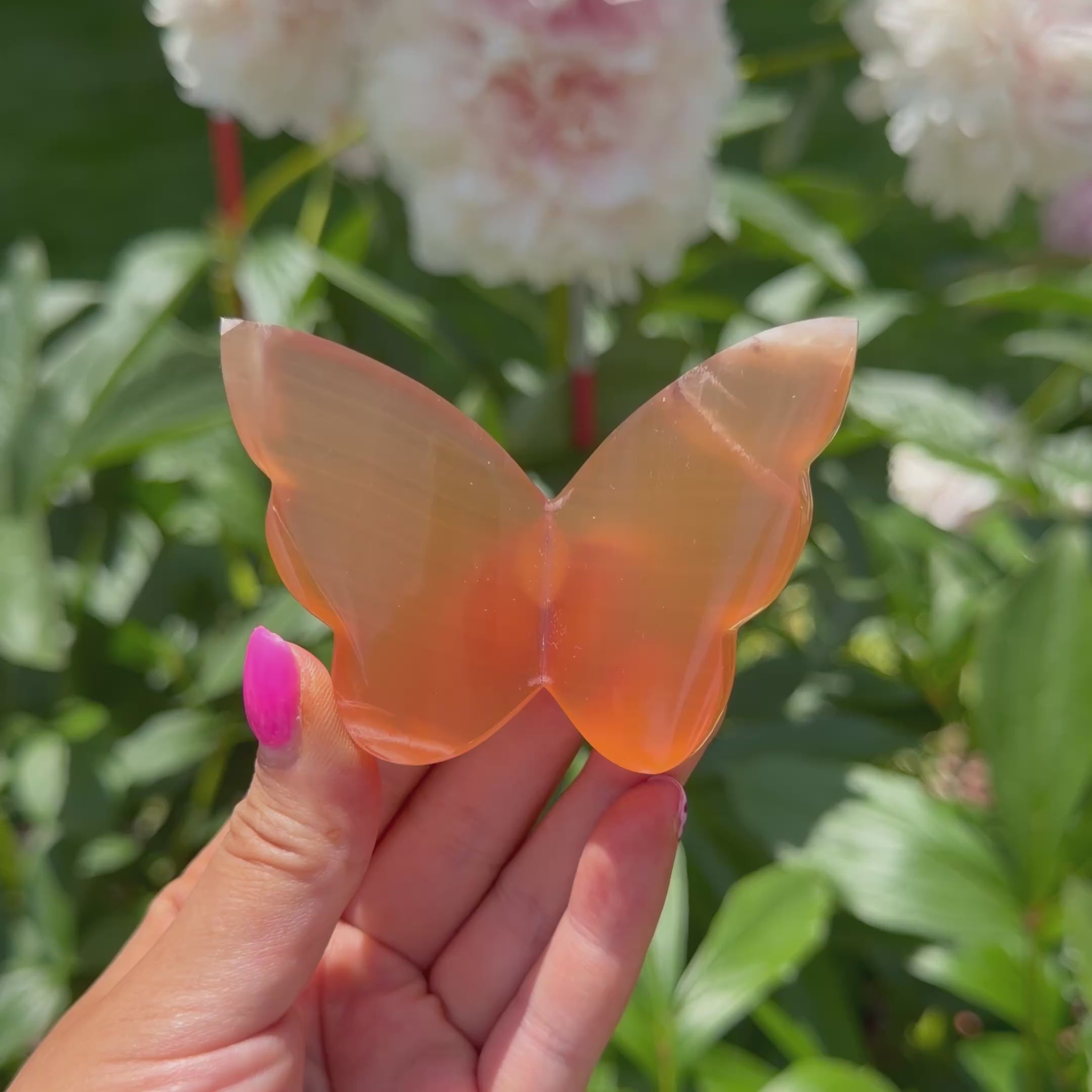 Honey Calcite Butterfly (Choose Your Own)