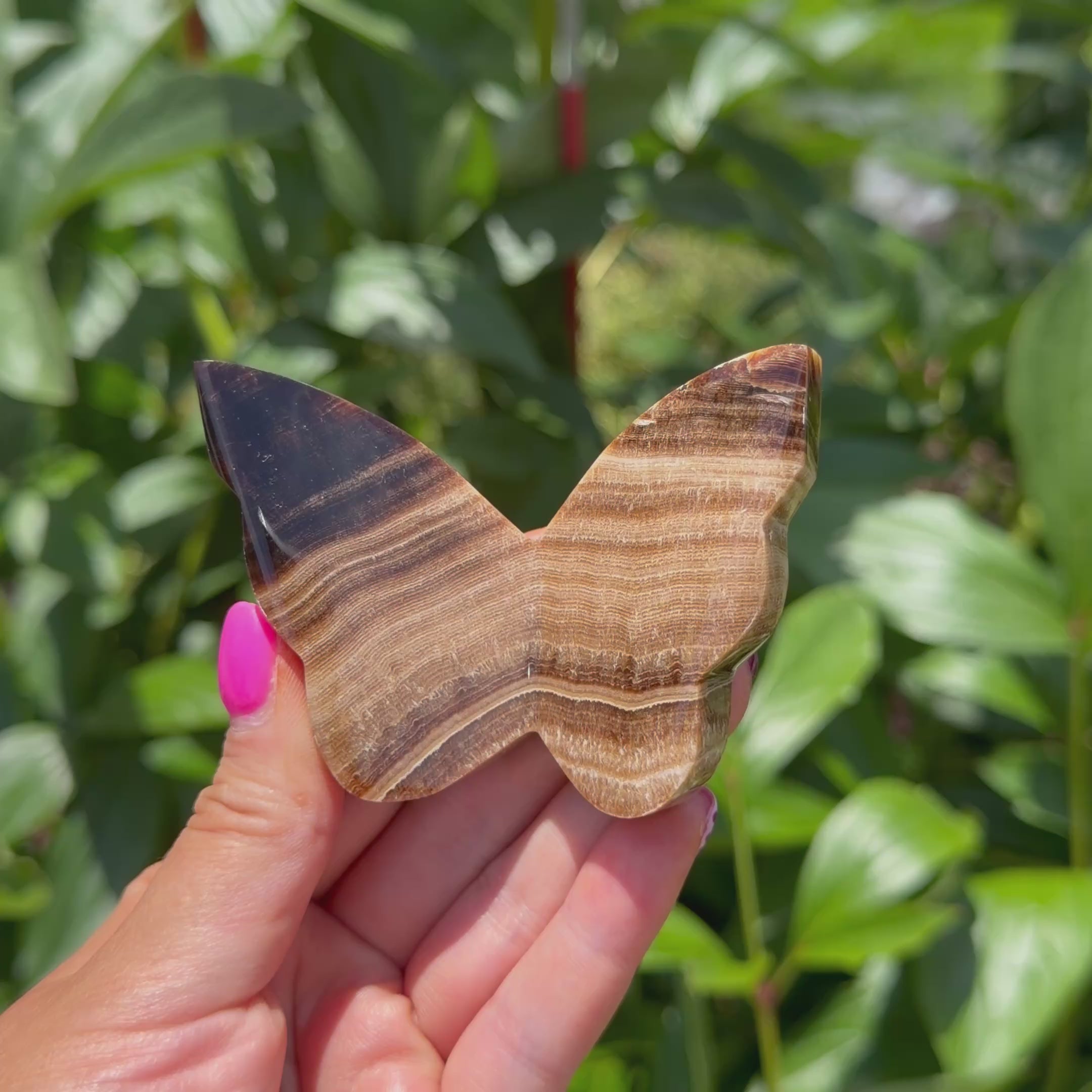 Chocolate Calcite Butterfly (Choose Your Own)