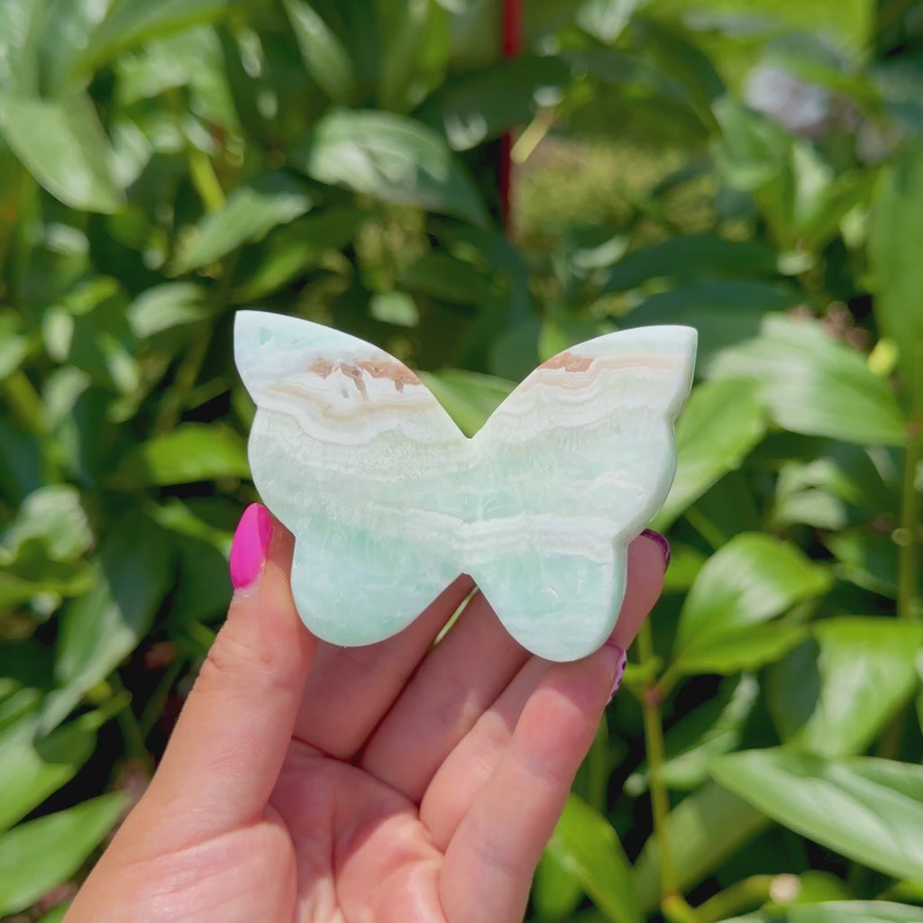 Caribbean Calcite Butterfly (Choose Your Own)