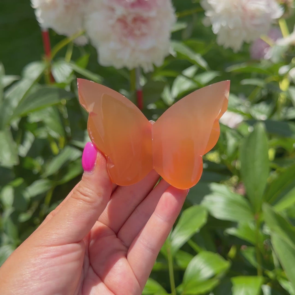 Honey Calcite Butterfly (Choose Your Own)