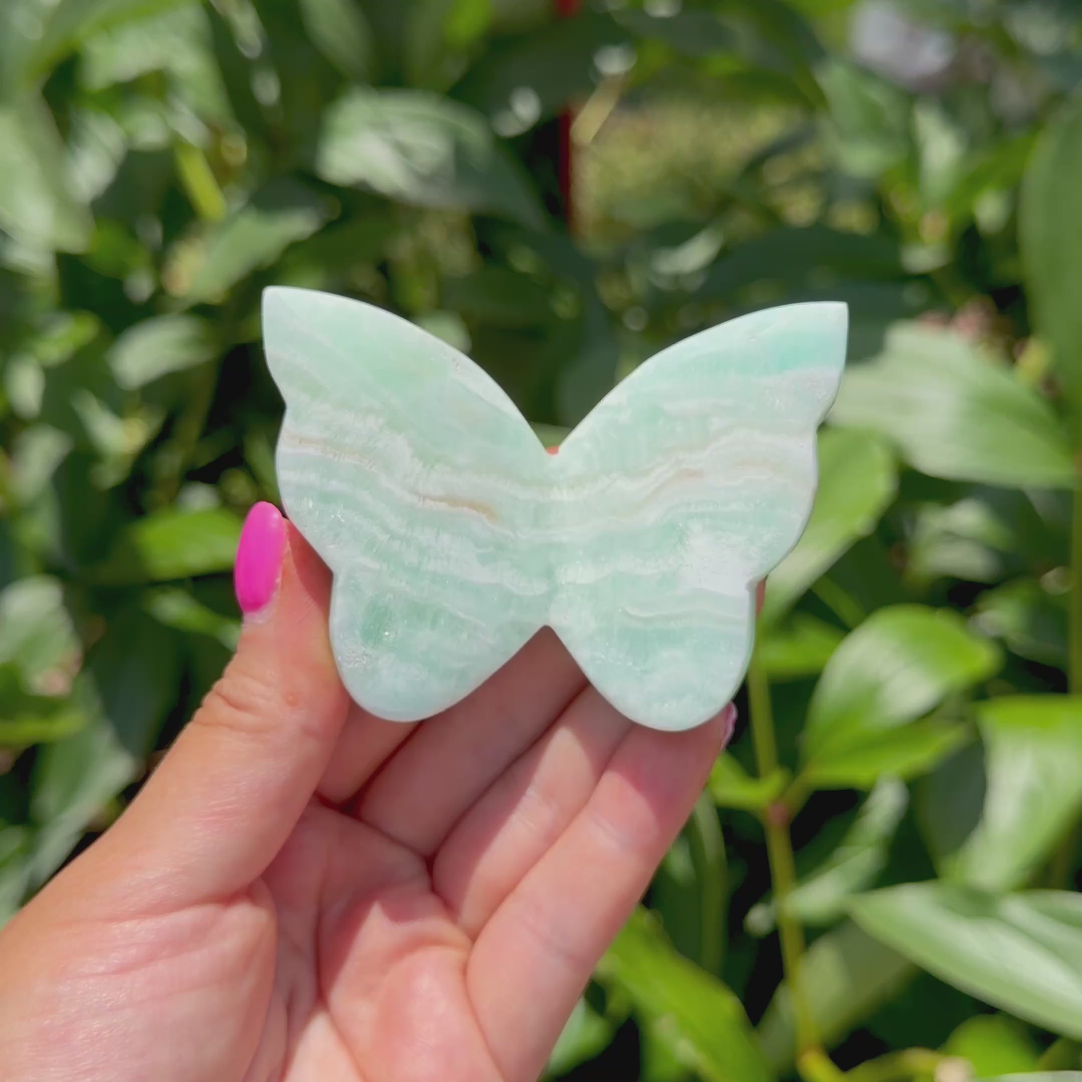 Caribbean Calcite Butterfly (Choose Your Own)